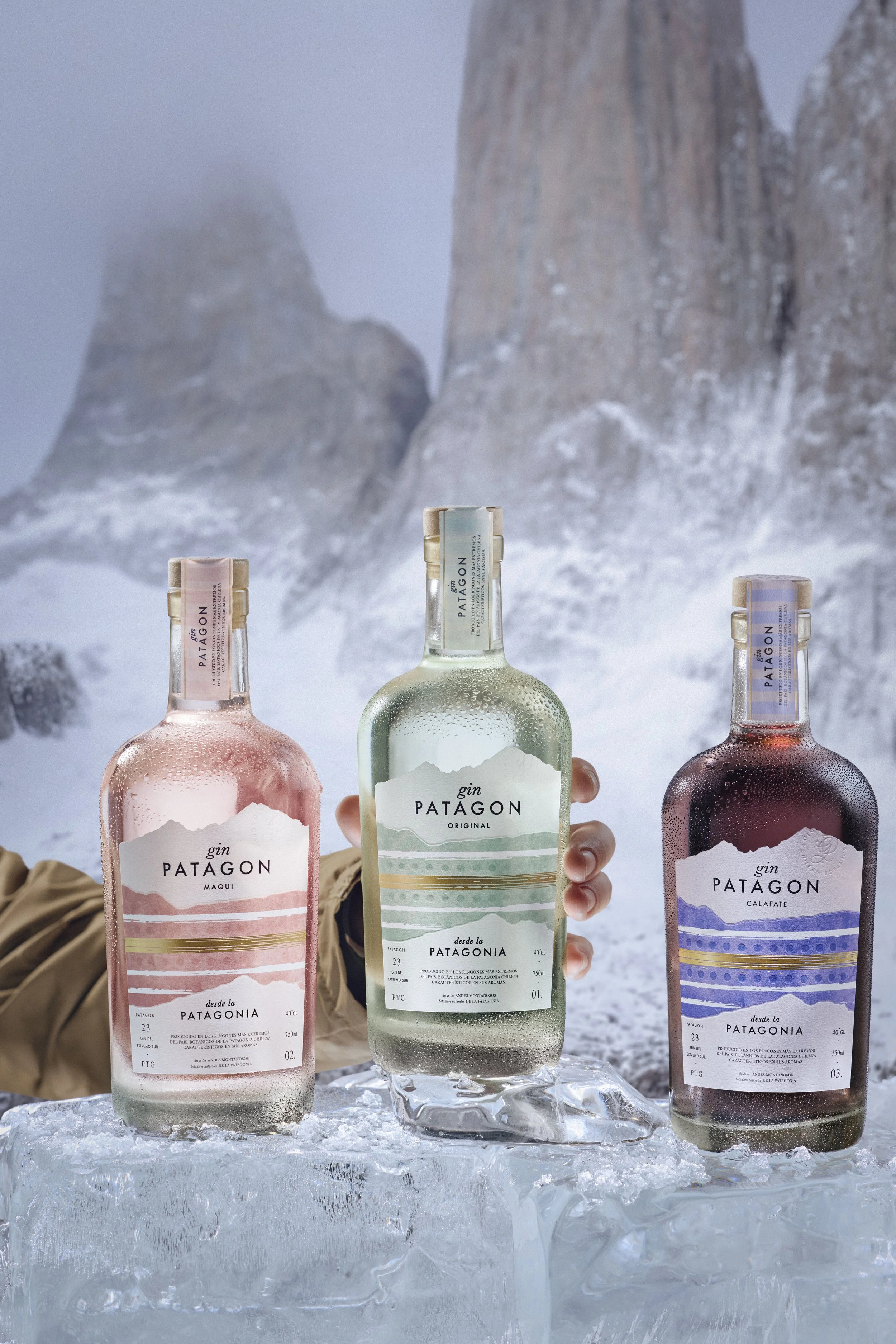 GIN PATAGON3963 copia.jpg