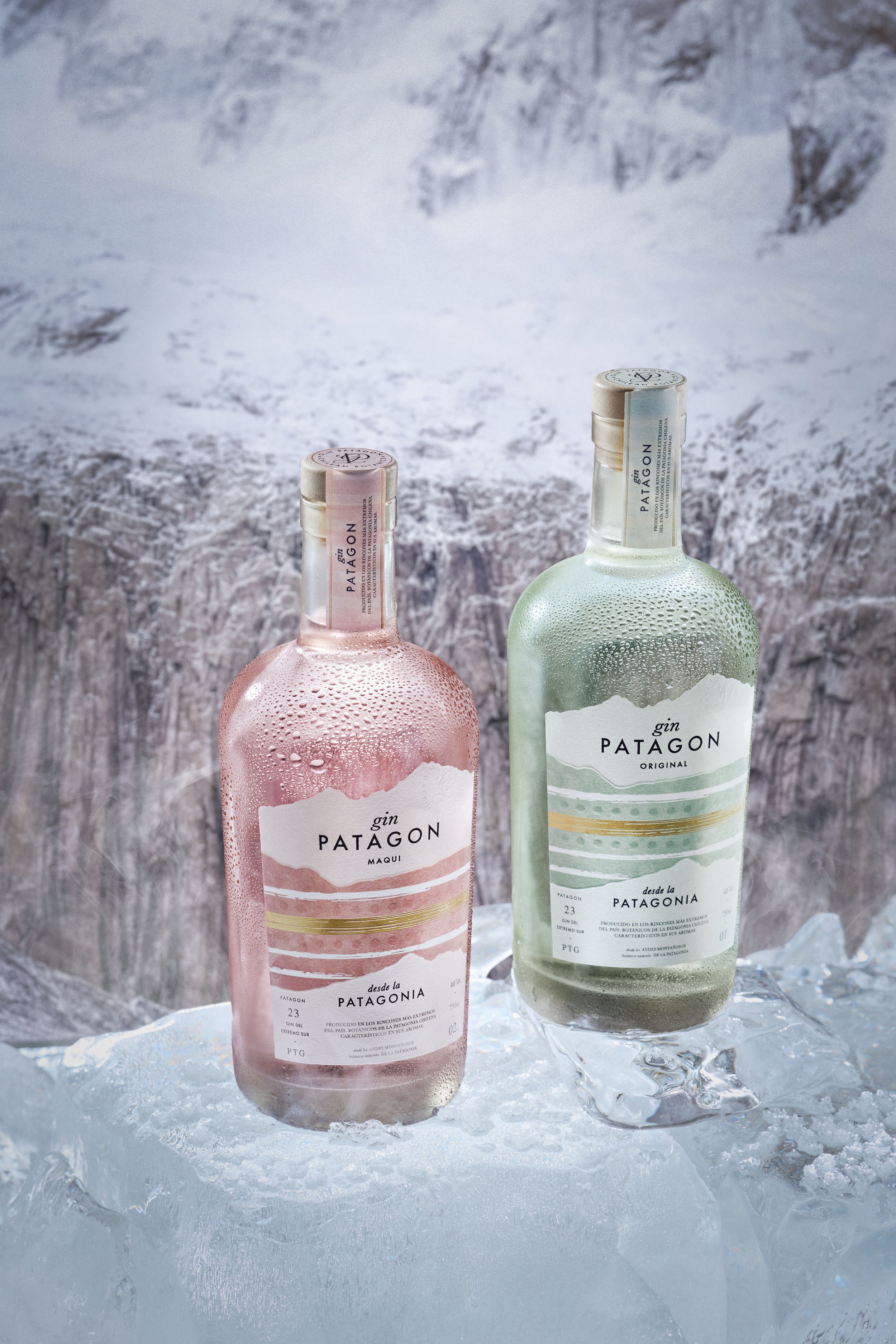 GIN PATAGON3887 copia.jpg