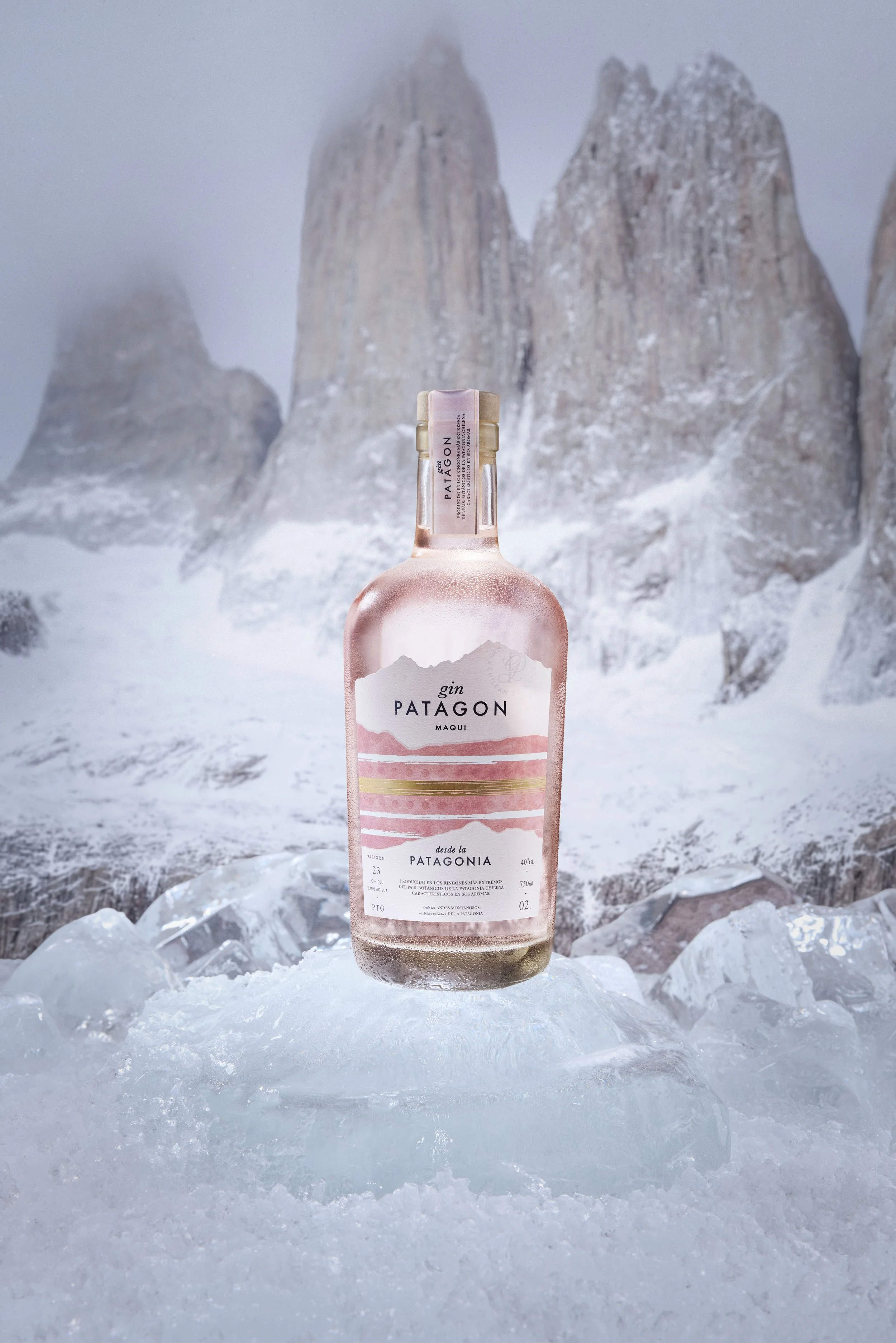 GIN PATAGON3372 copia.jpg