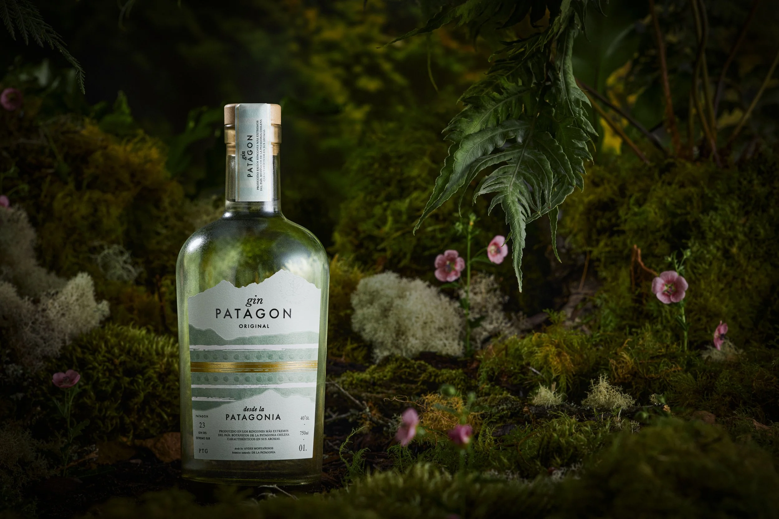 GIN PATAGON5600 copia.jpg