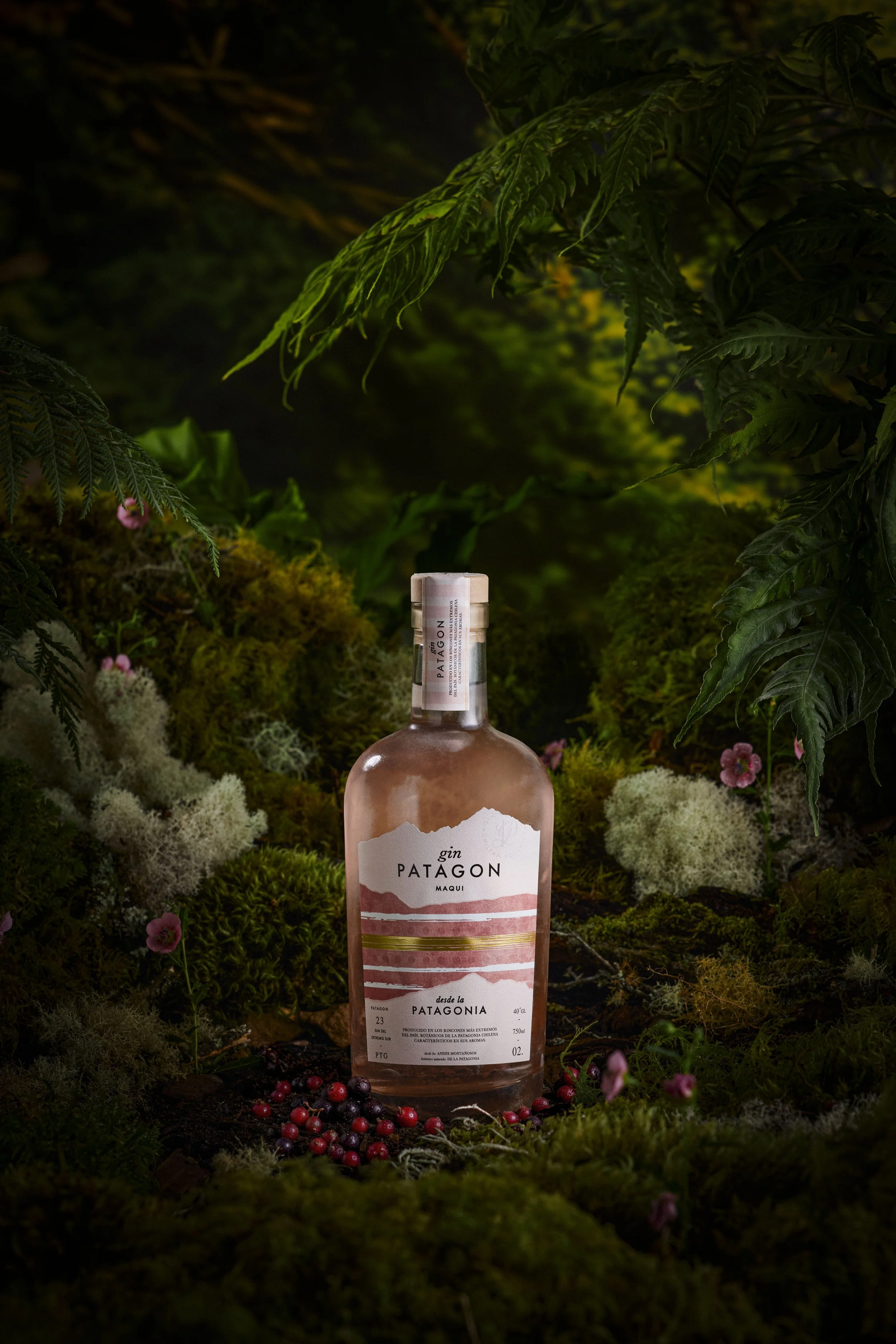GIN PATAGON5419 copia.jpg