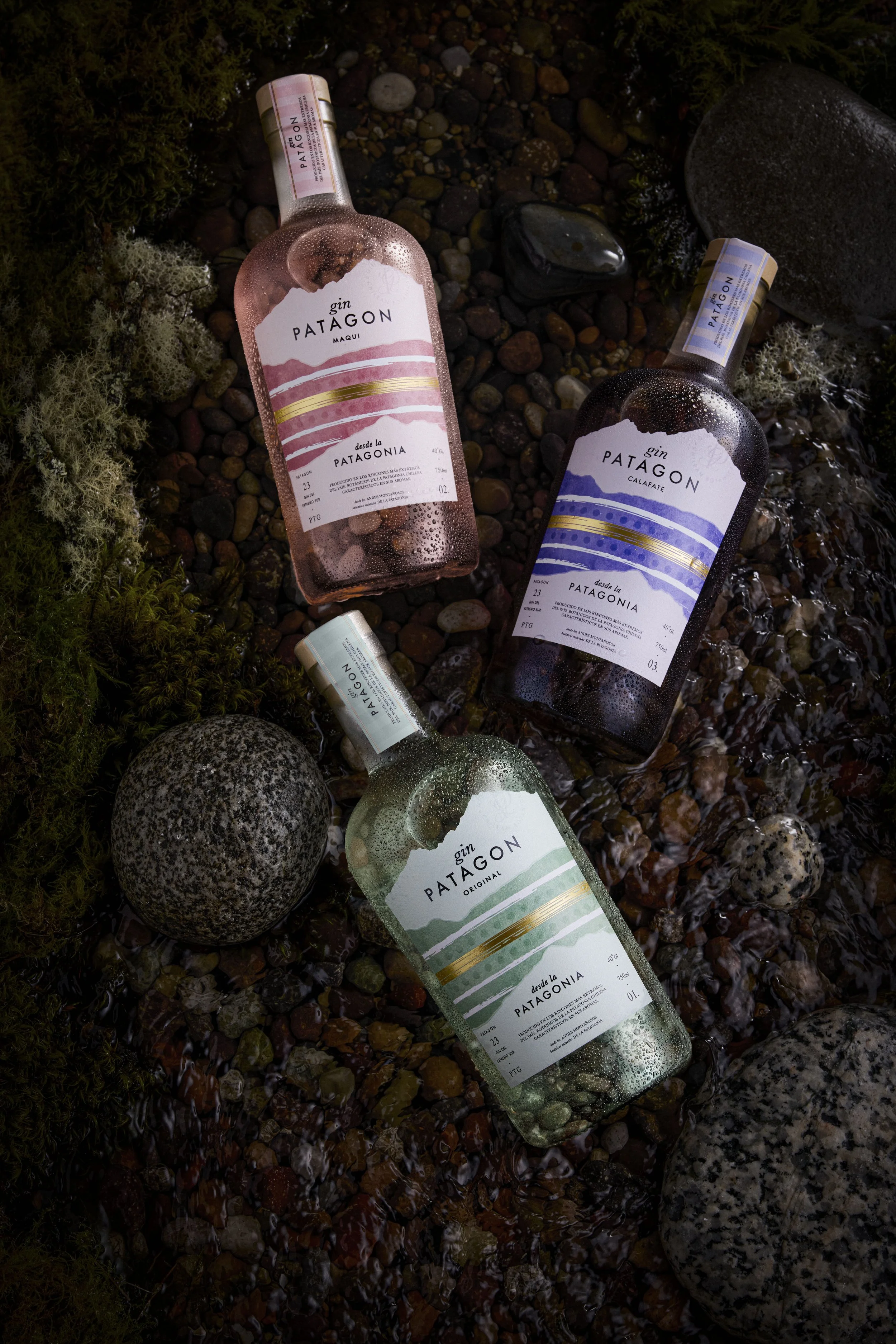 GIN PATAGON4781 copia.jpg