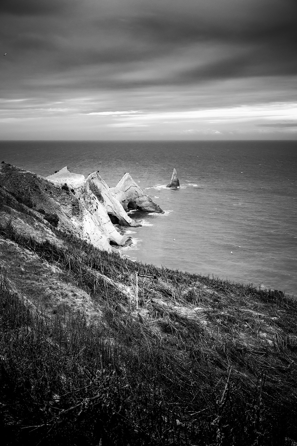 Cape_Kidnappers_©ag_DSC5980web.jpg