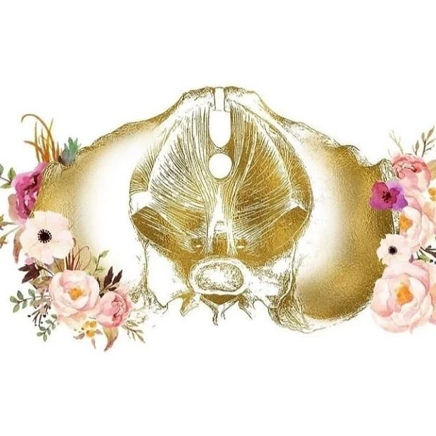 PELVIC FLOOR
While most of us have heard time and time again about the importance of pelvic floor exercises or building pelvic floor strength (and bladder control), engagement in pregnancy yoga can provide a great support to our pelvic floor, with th