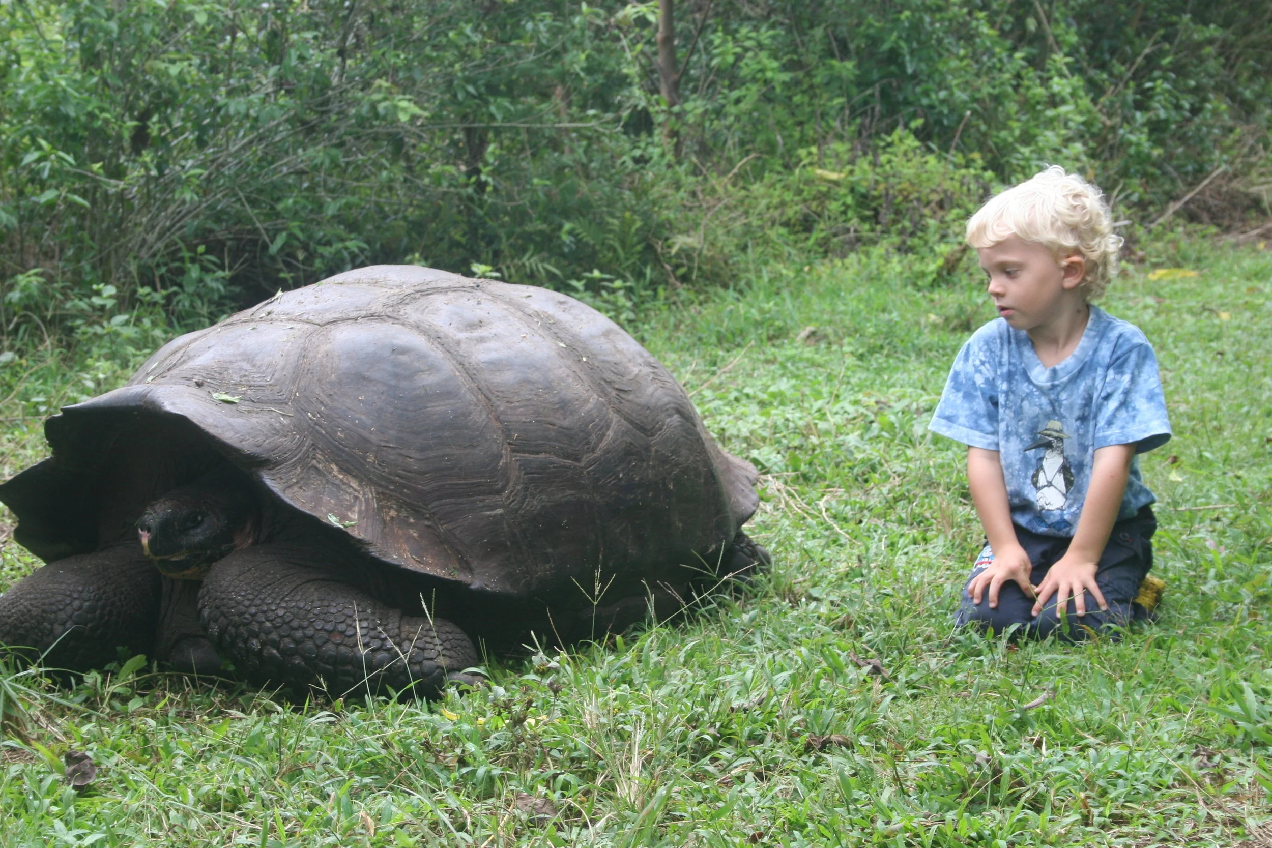 Preventive Medicine for a Changing World 