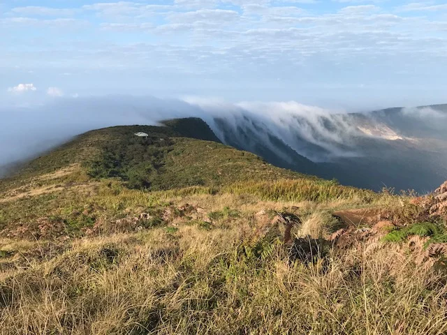 Science and Conservation at the Edge of a Volcano in Galapagos