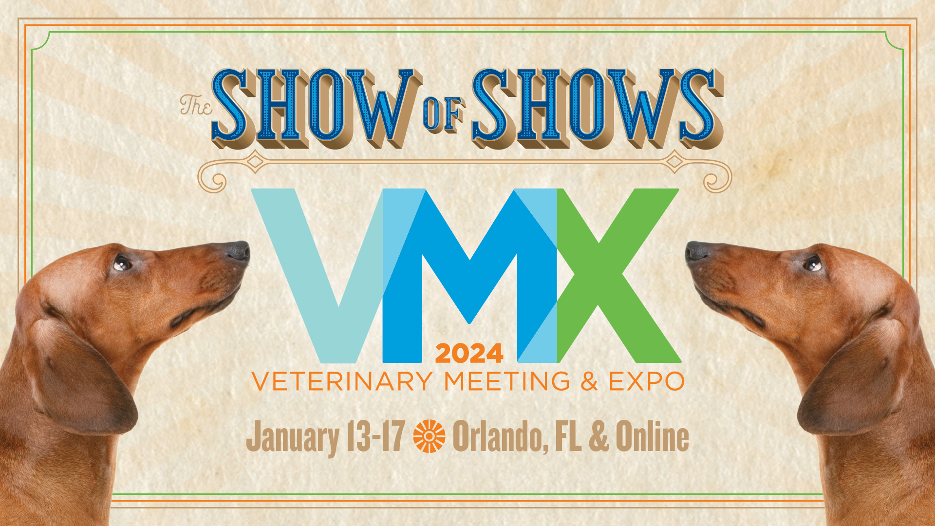 VMX Wildlife Session