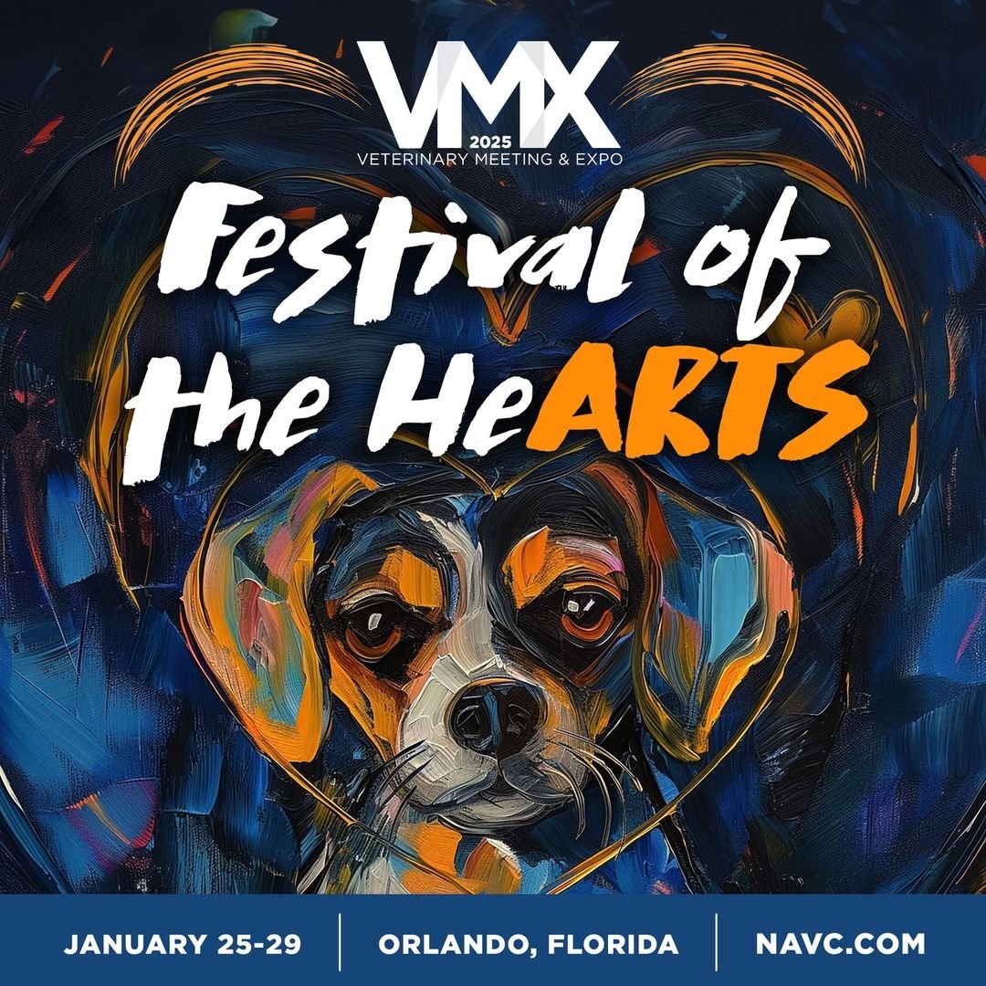 VMX 2025