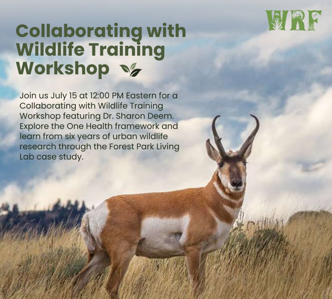 Collaborating with Wildlife Training Workshop (CWTW) 