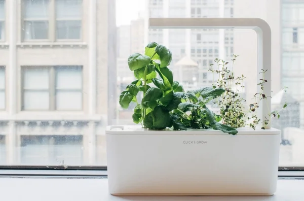 WWW.CLICKANDGROW.COM