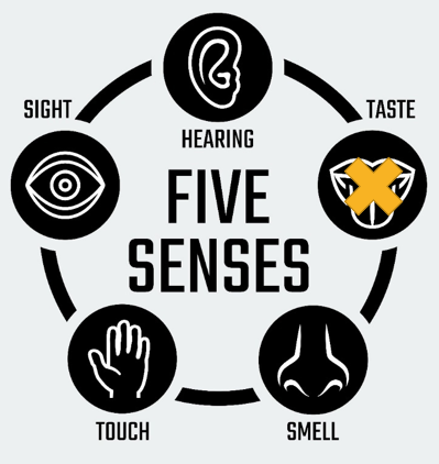 sensory.PNG