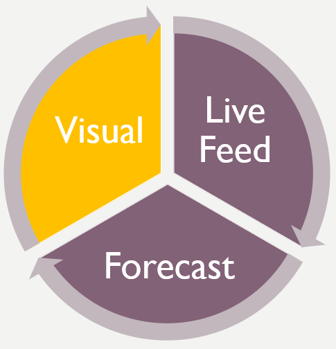 visual data.PNG