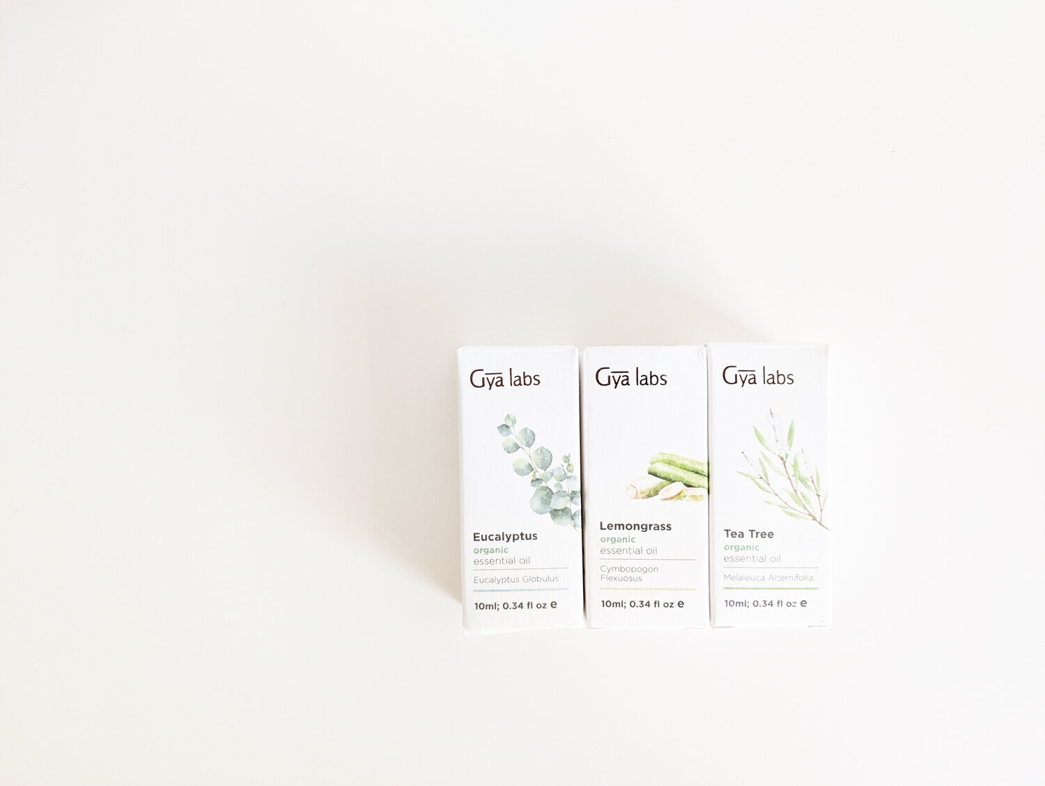 Essential Oil Mosquito + NoSeeUm Bug Repellent (Minimalist Recipe