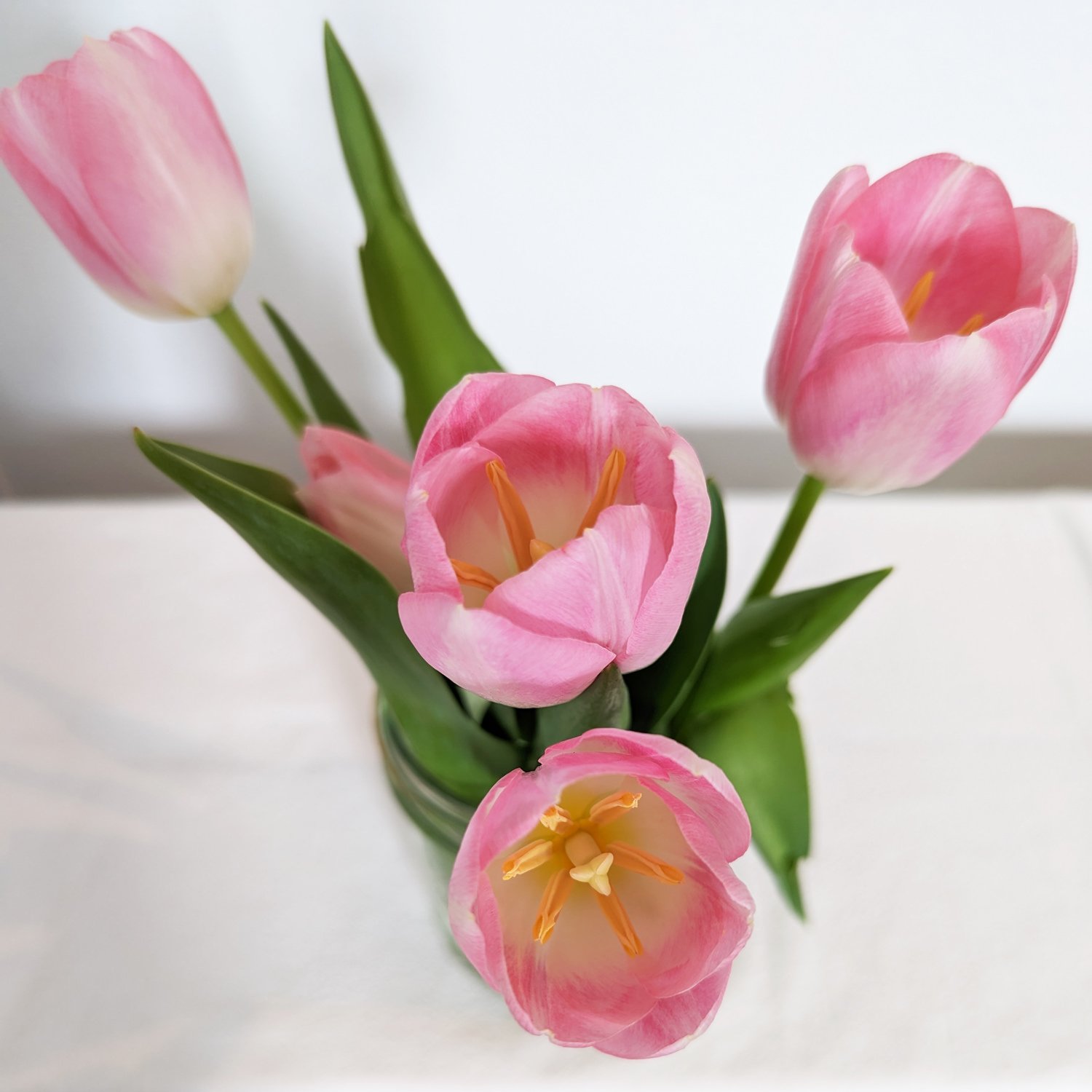 Thich Nhat Hanh Quotes (on Anger)