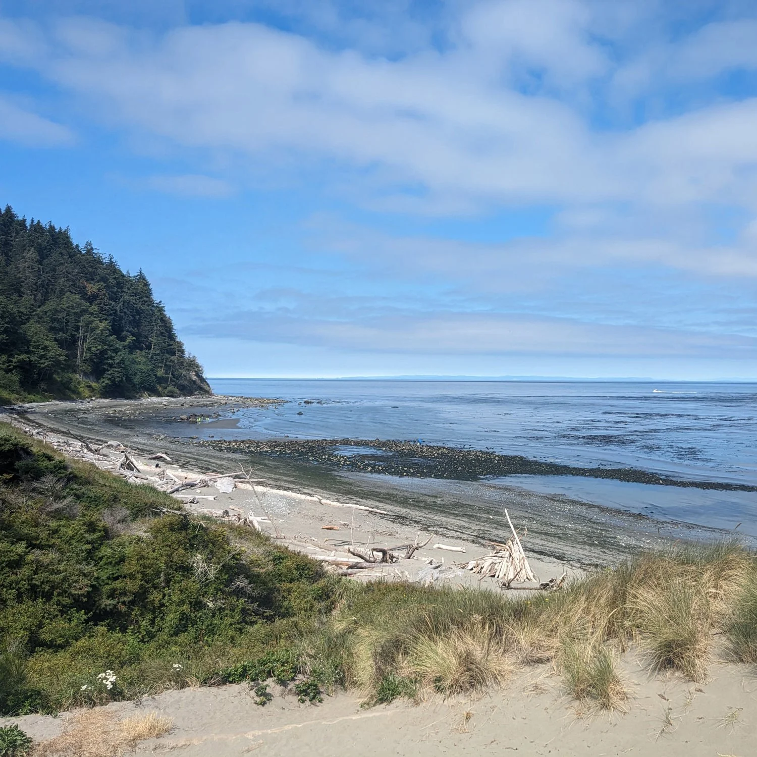 Port Townsend, Washington (in July)