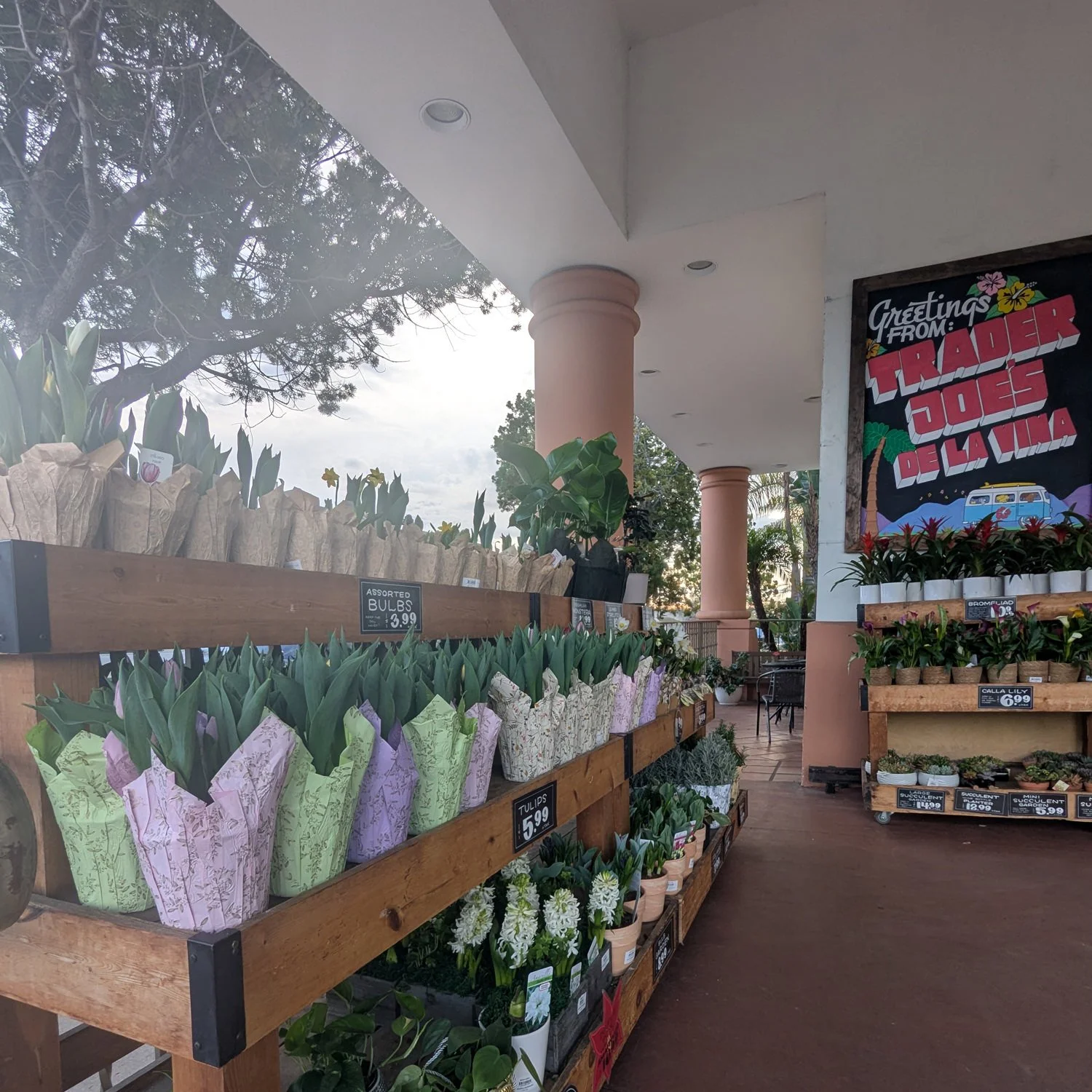 Cheapest Place To Buy Groceries in the USA—Ethically (Organic, Vegan, Gluten-Free)