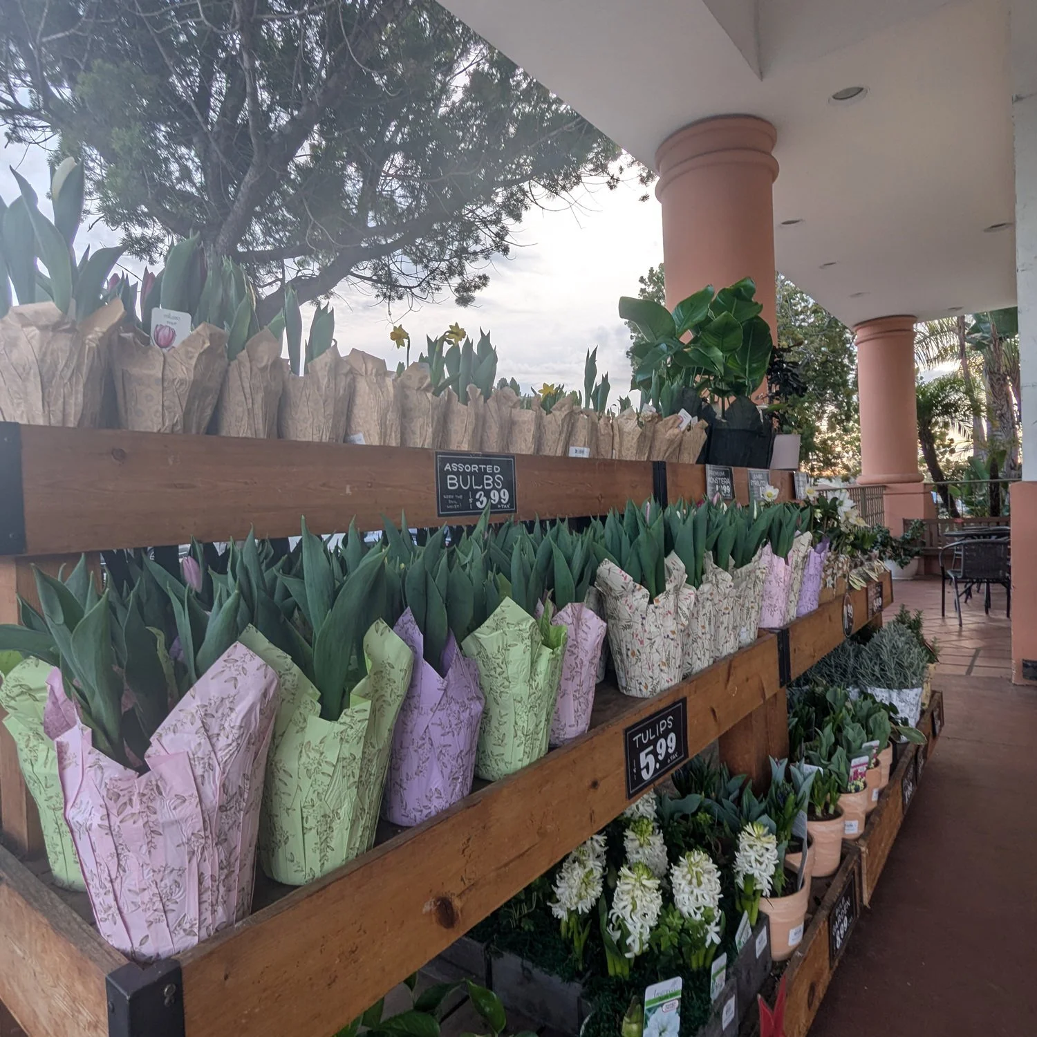 The Cheapest Place I Buy Groceries in the USA—Ethically (Organic, Vegan, Gluten-Free)