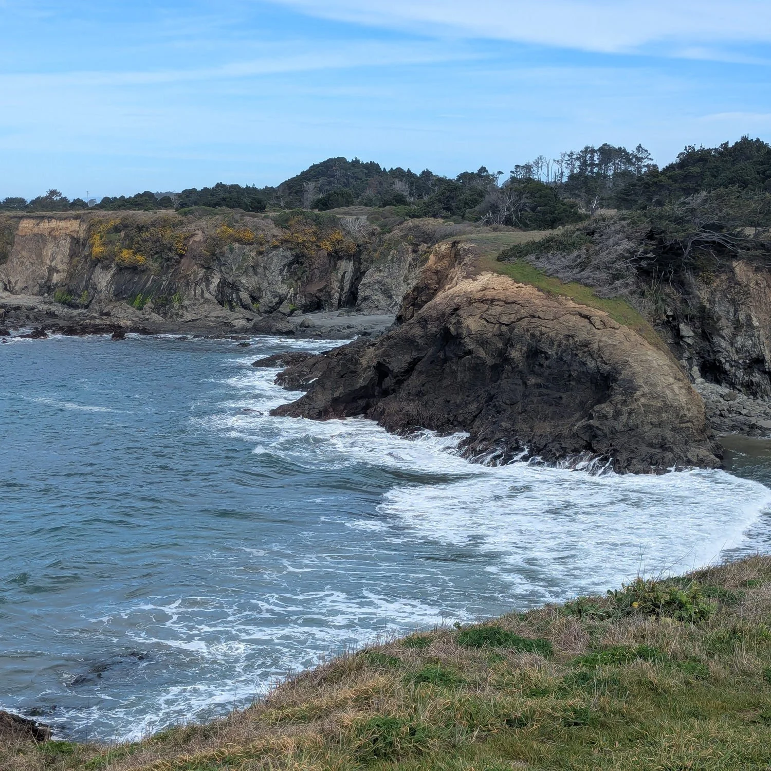 Jug Handle (California State Natural Reserve)