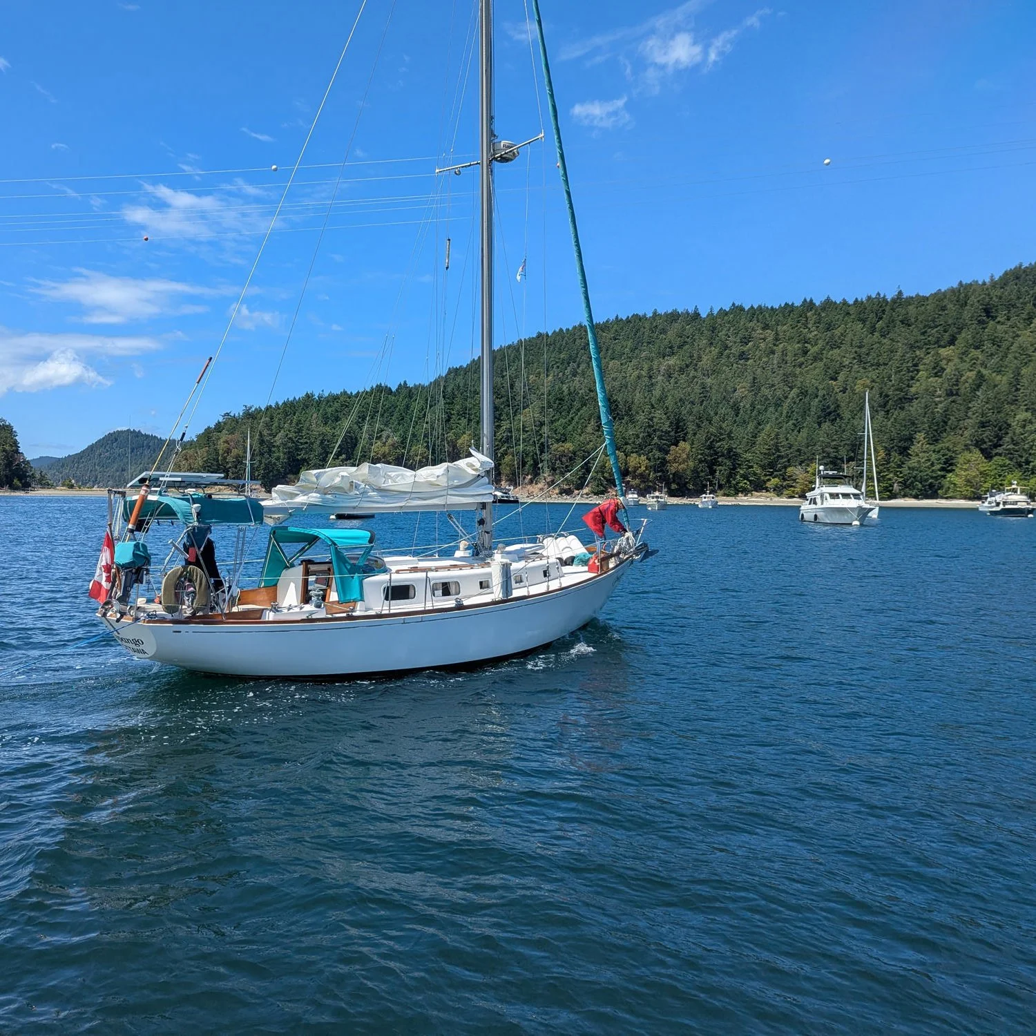 Sailing to Montague Harbour (in British Columbia, Canada)