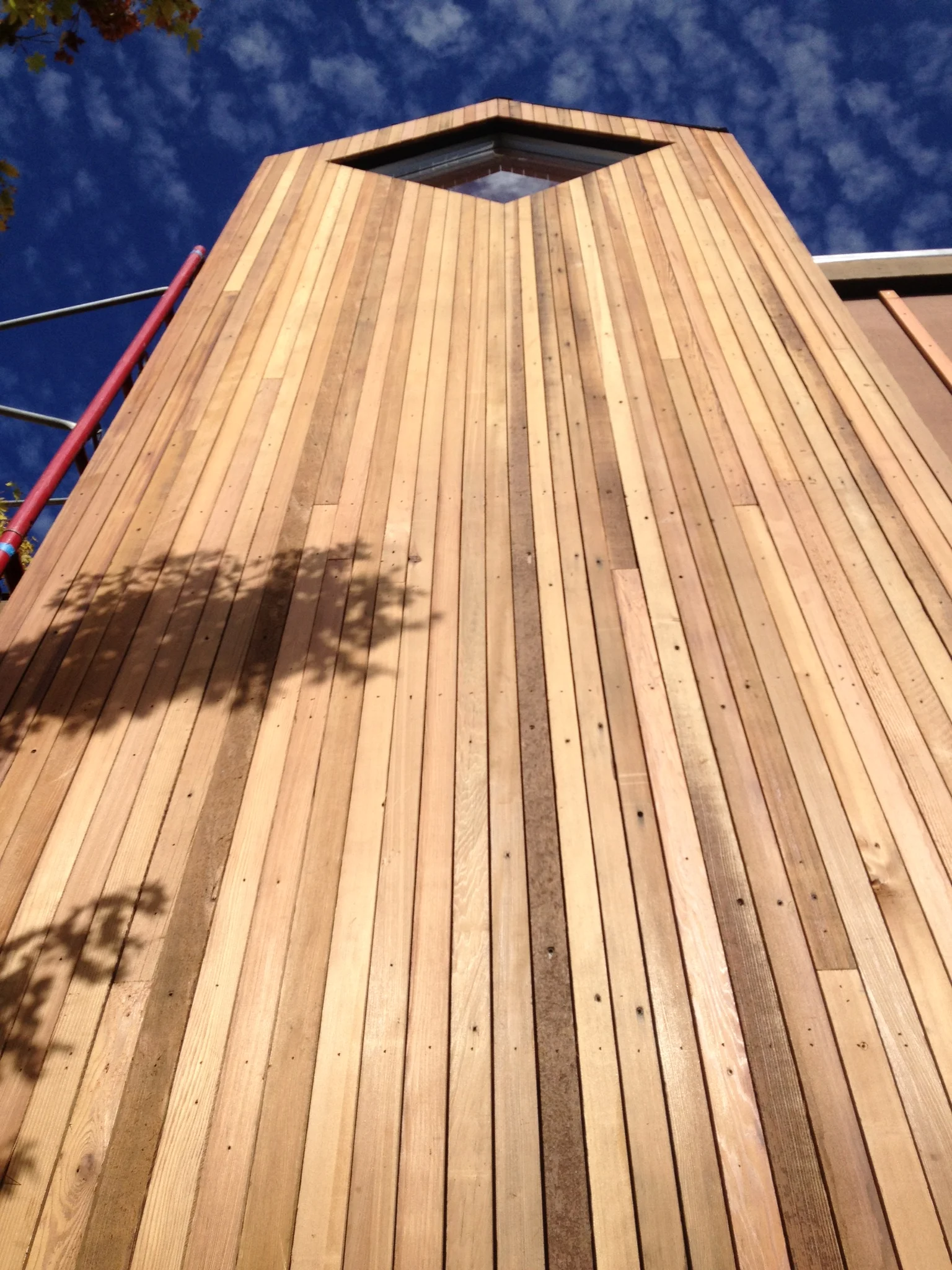 BESTVIRGINIA (1).jpeg