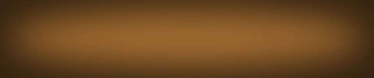 orange header vignette.jpg