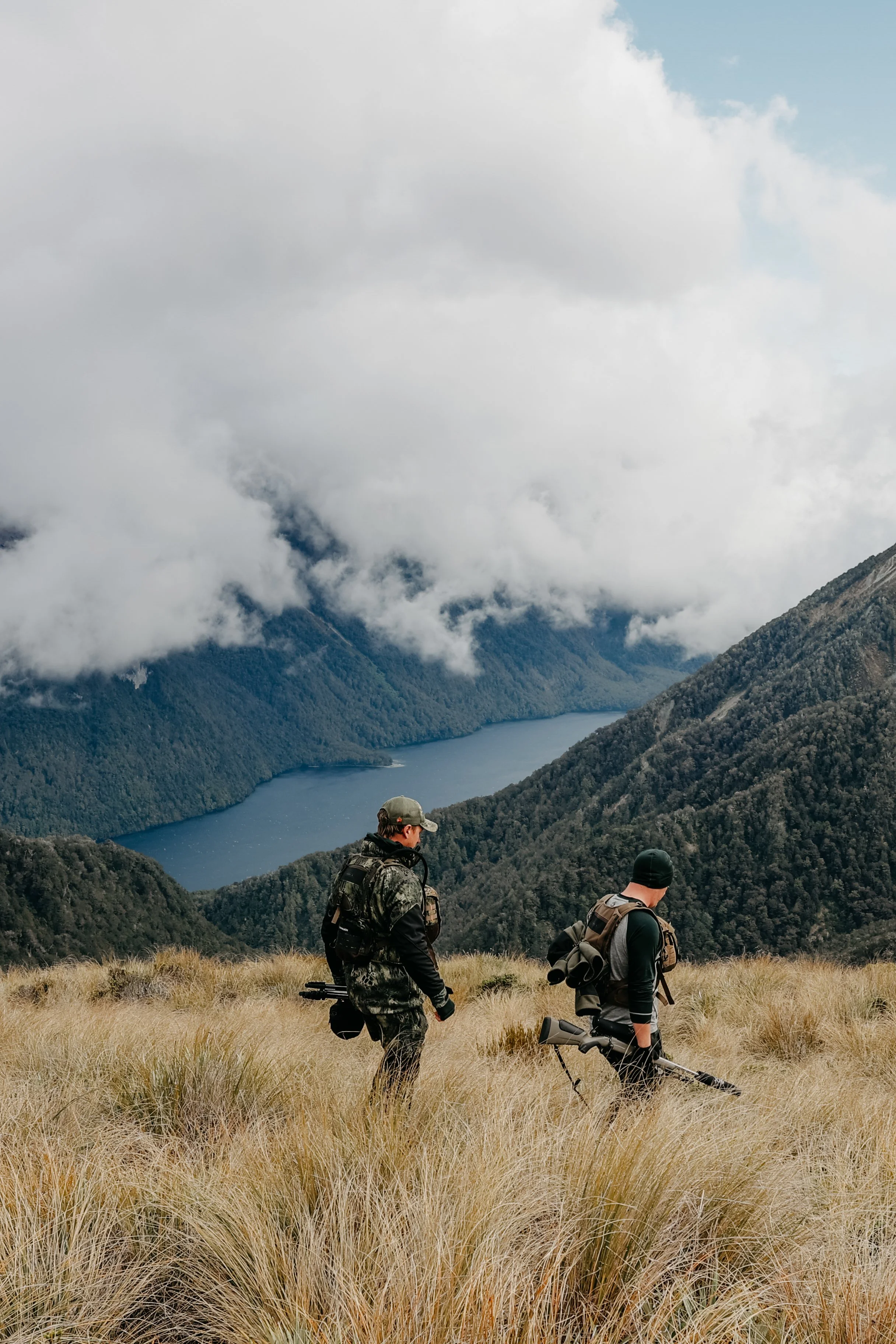 BB Fiordland00124.jpg