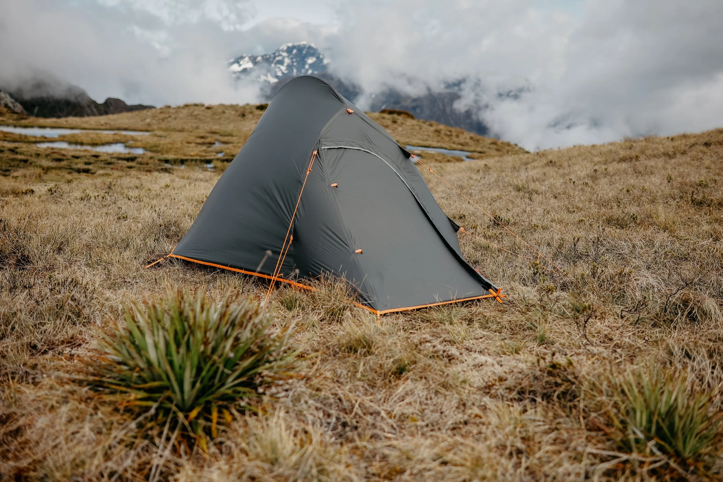 BB Fiordland00127.jpg