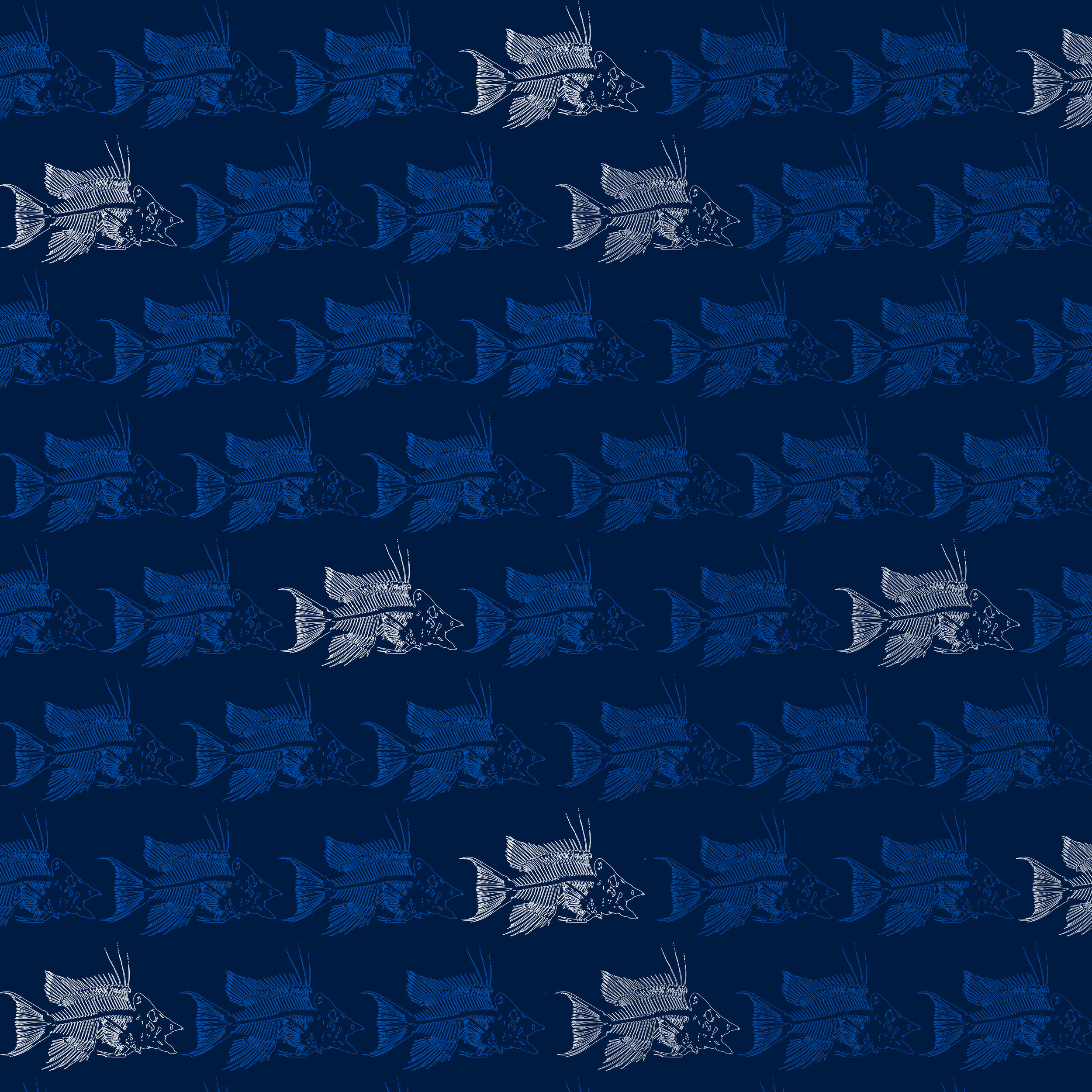 ALL OVER FISH blue.jpg