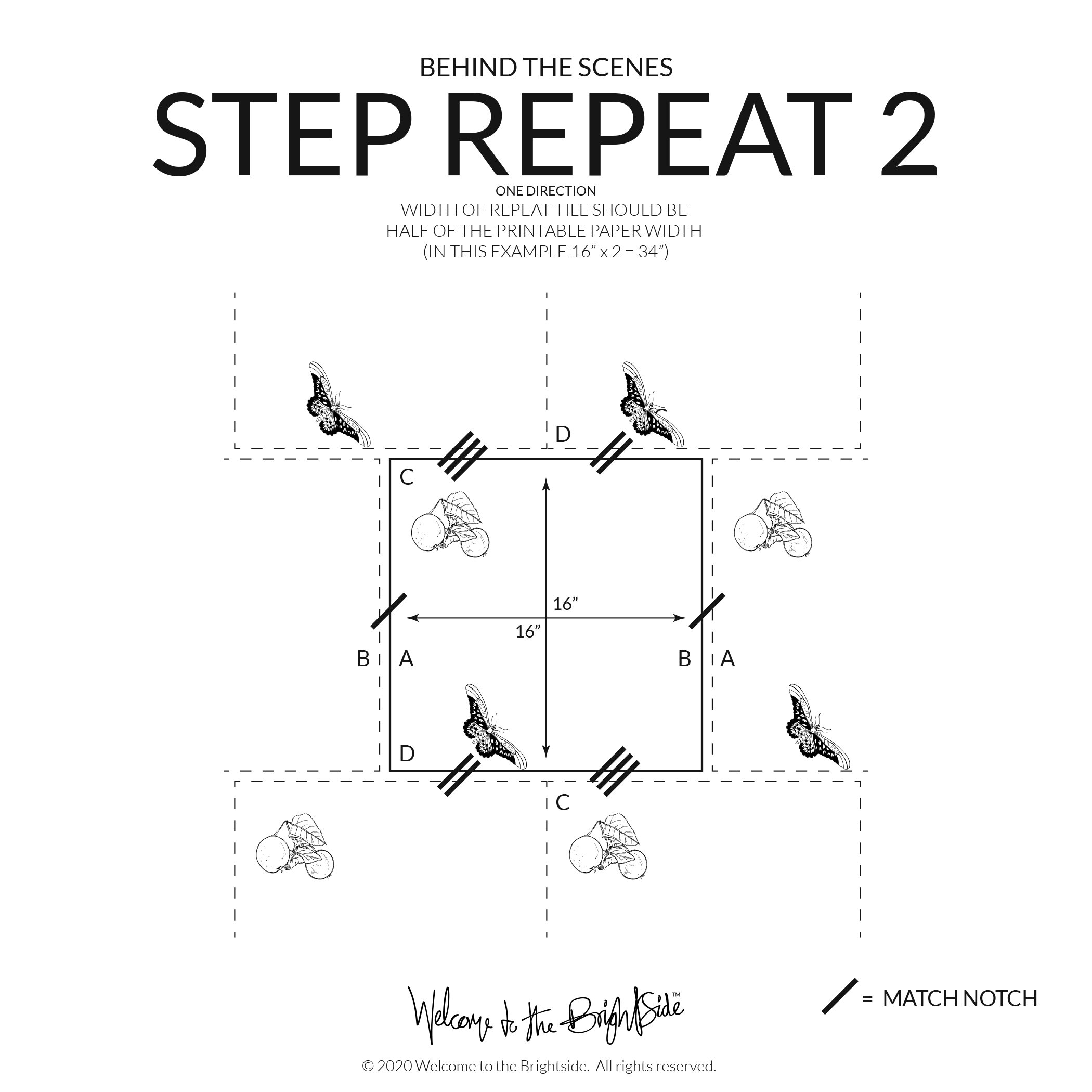 STEP-REPEAT_INSTRUCTIONS_2.jpg