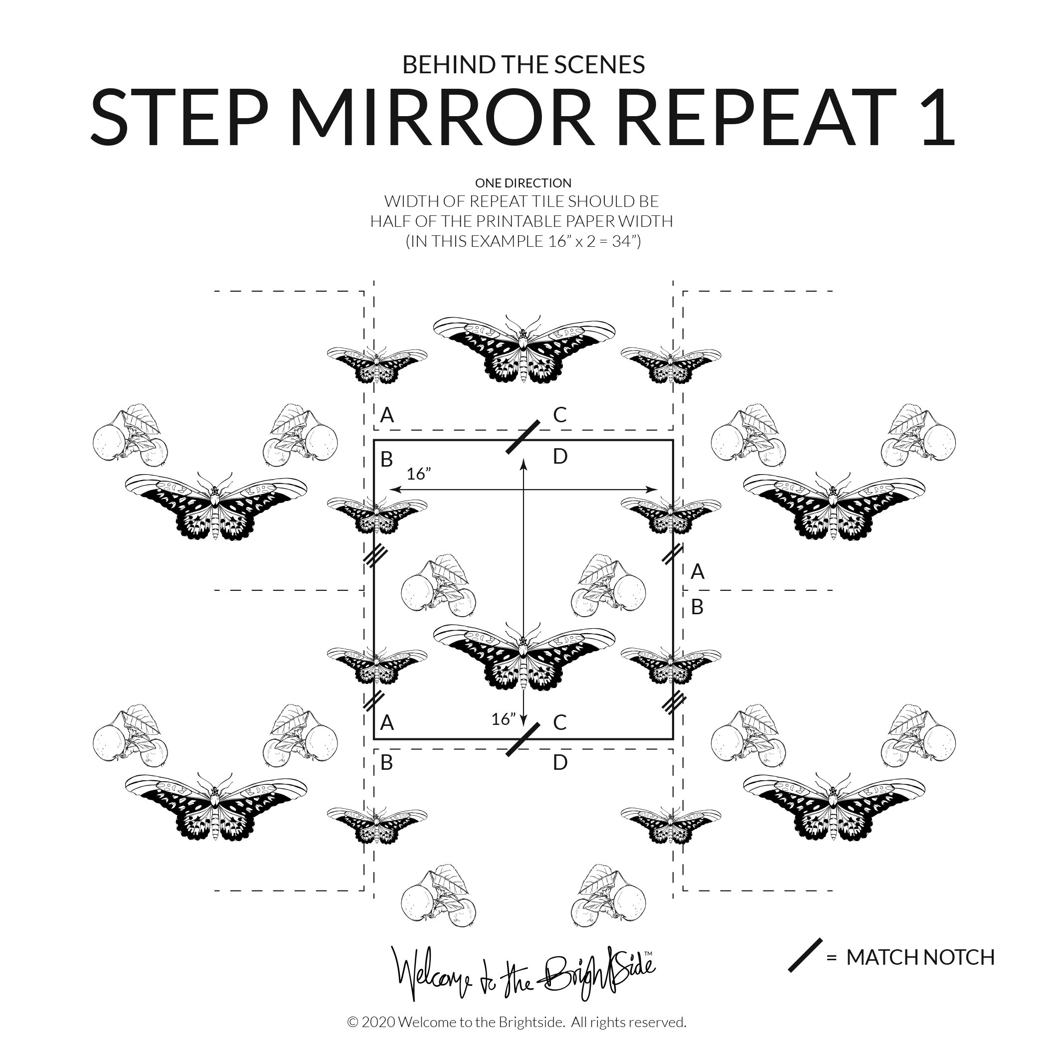 STEP-REPEAT_MIRROR_INSTRUCTIONS_1.jpg