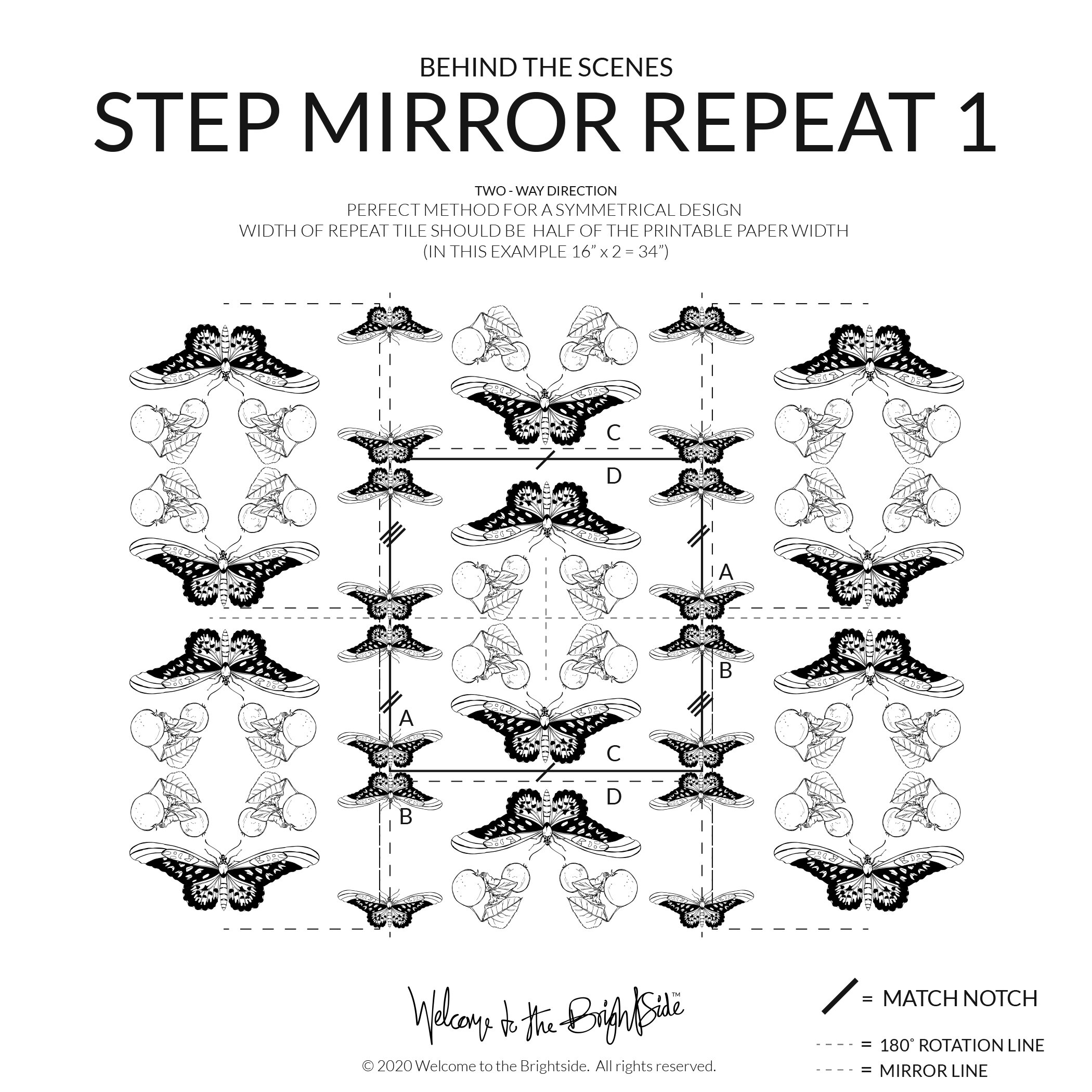 STEP-REPEAT_MIRROR_2_DIRECTION_INSTRUCTIONS_1.jpg