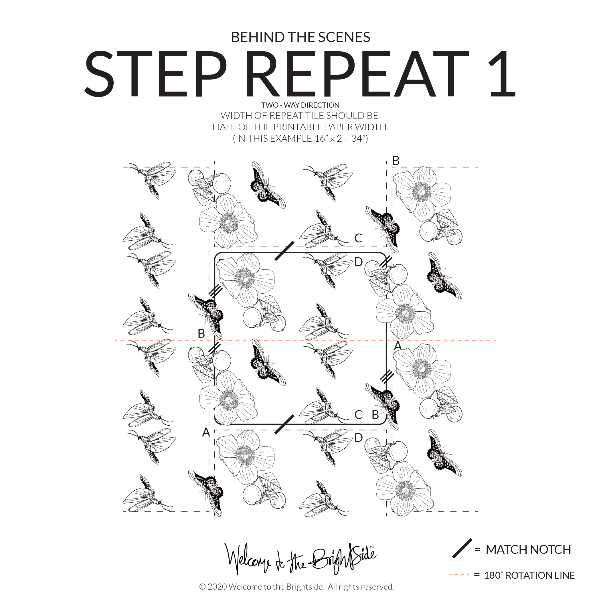 STEP-REPEAT_1_DIRECTION_INSTRUCTIONS_2020.jpg