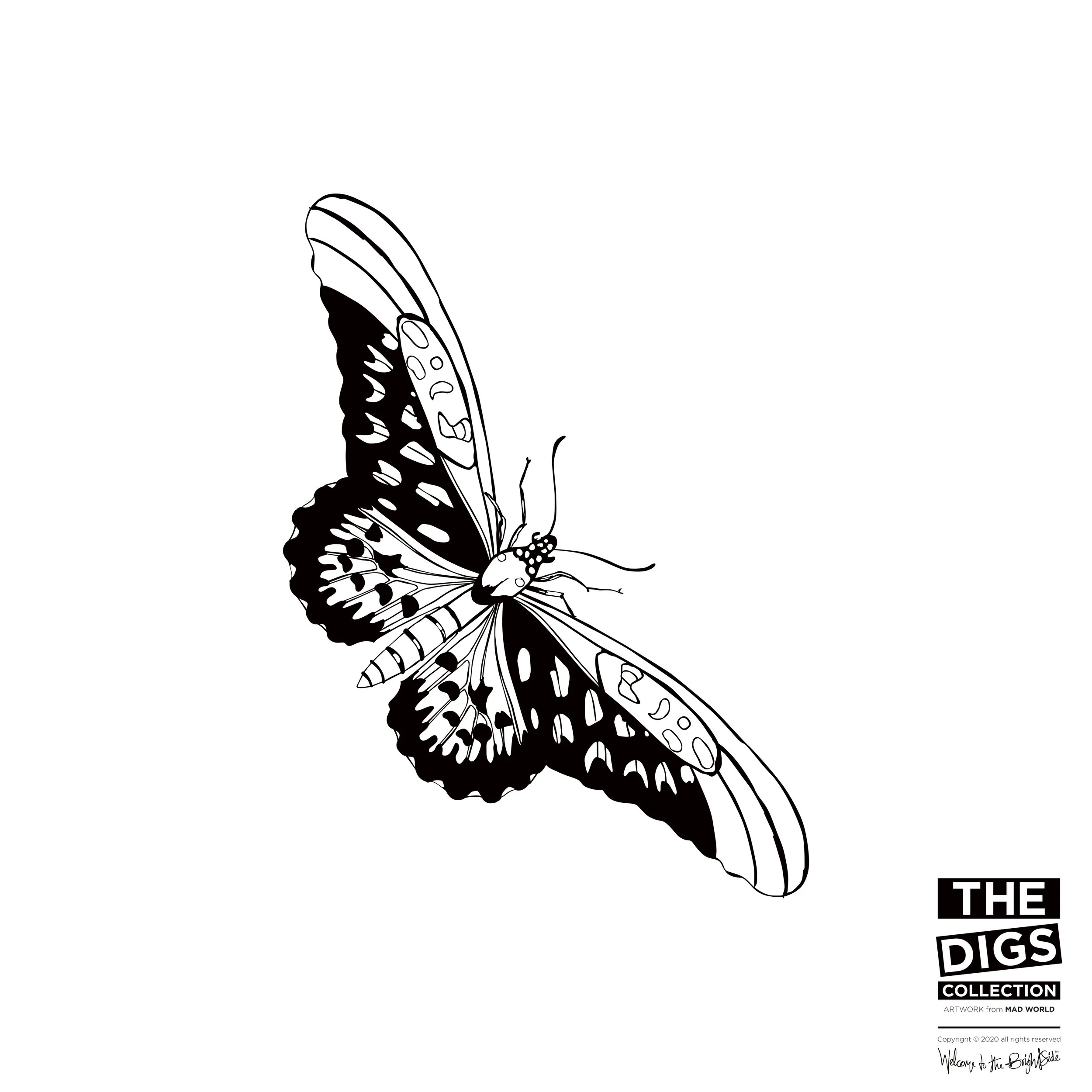 ATARGATIS_2_BUTTERFLY_1_B+W.jpg