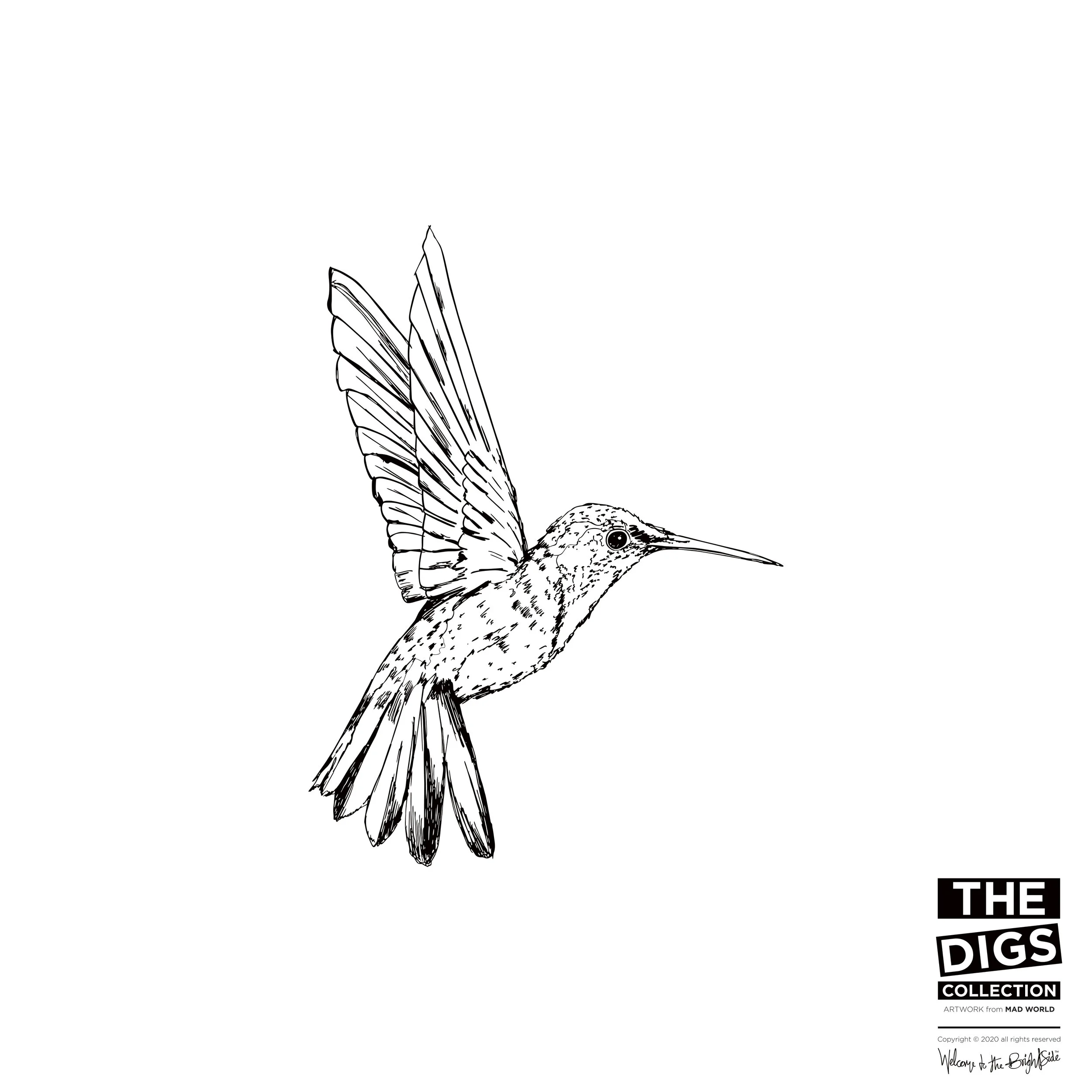 ATARGATIS_2_HUMMINGBIRD_1_B+W.jpg
