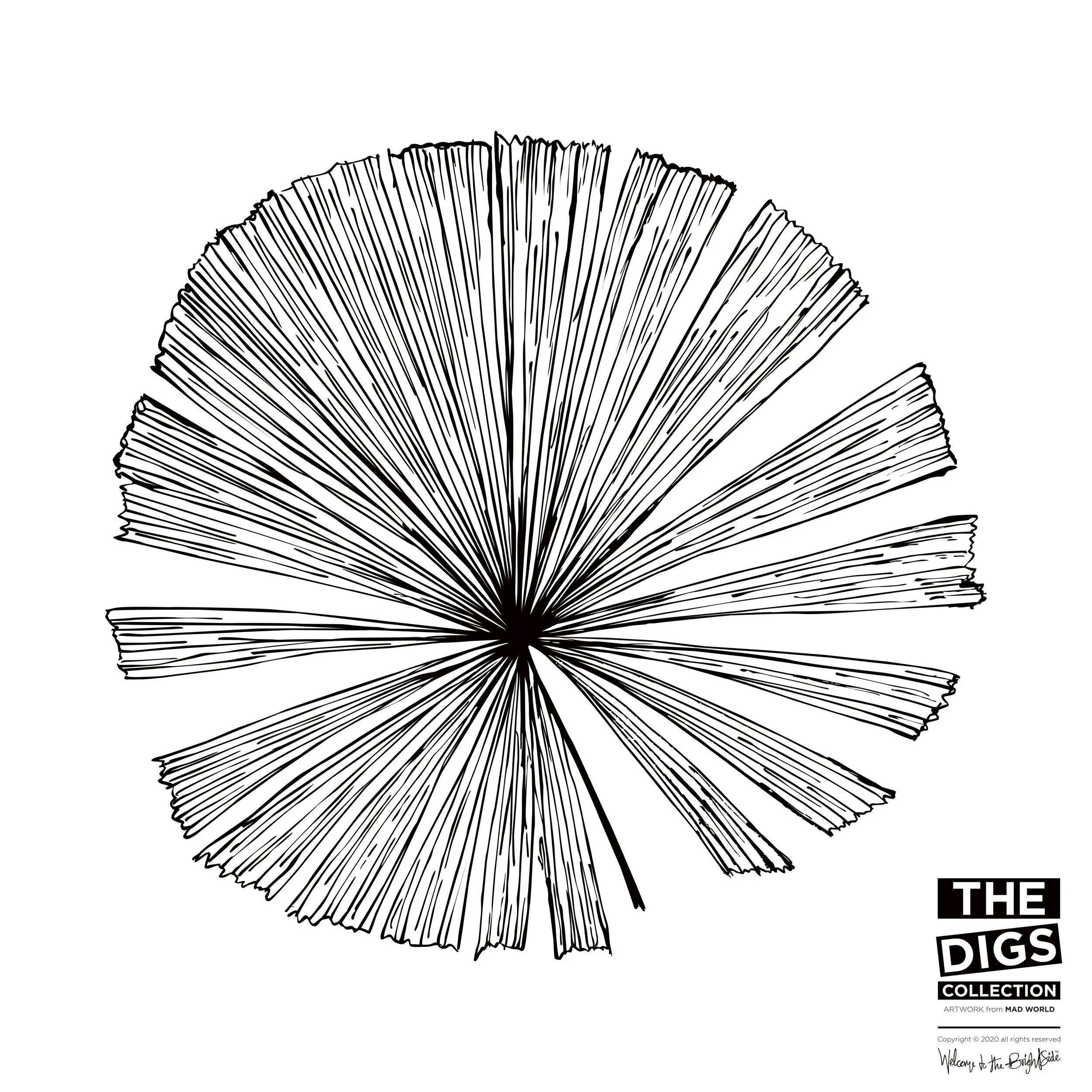 ATARGATIS_1_LEAVE_1_B+W.jpg