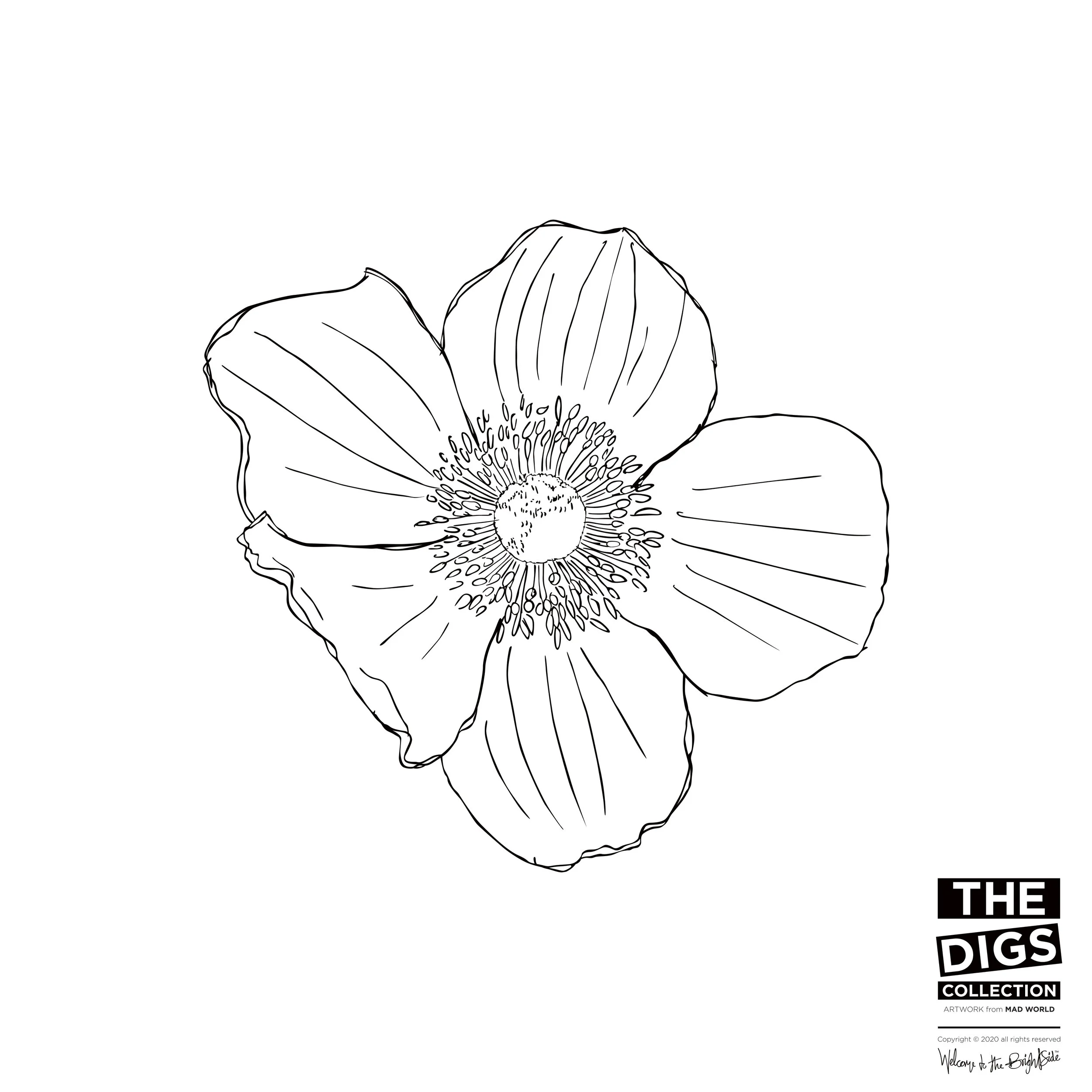 BBF_1_FLOWER_2_B+W.jpg