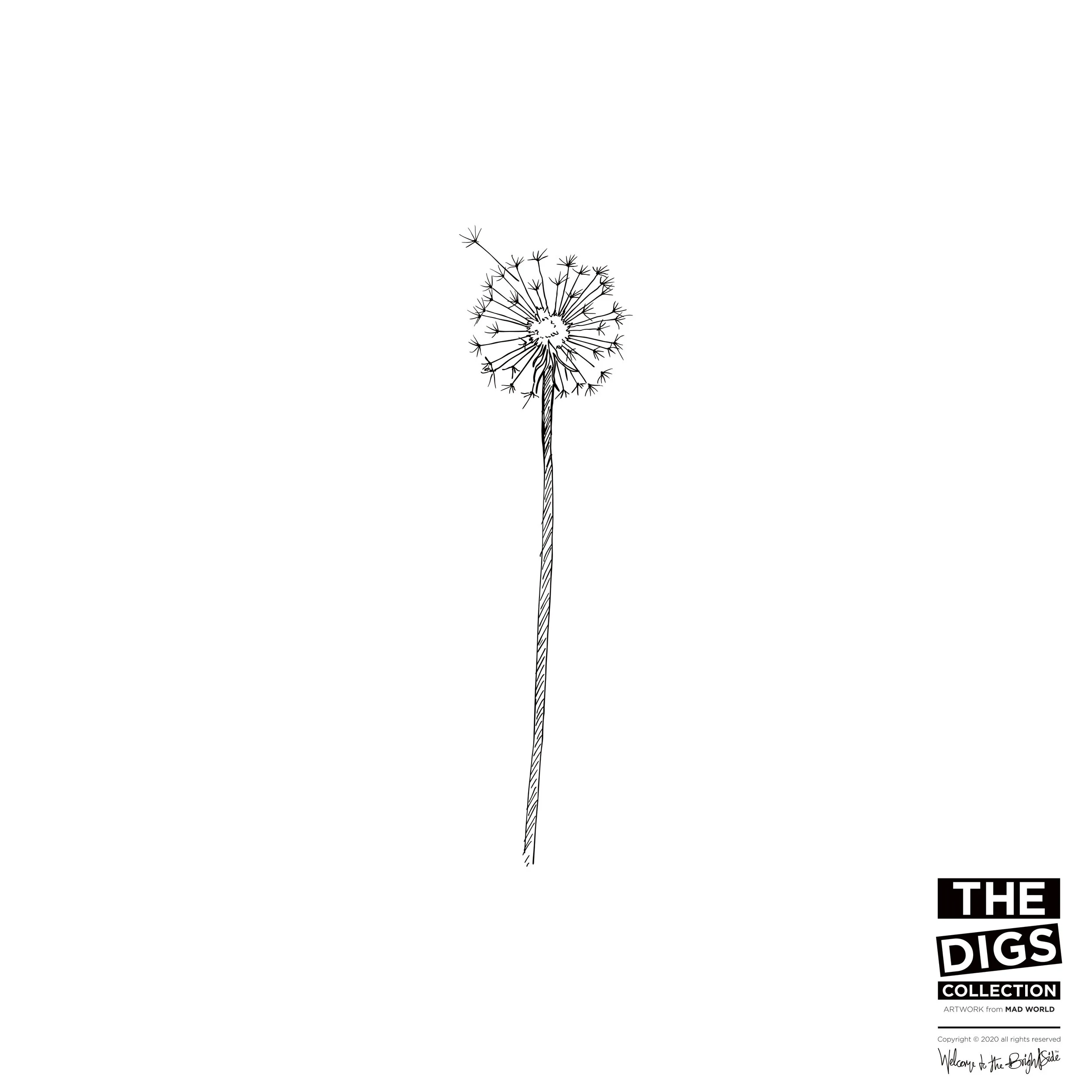 PARAVENT_1_DANDELION_1_B+W.jpg