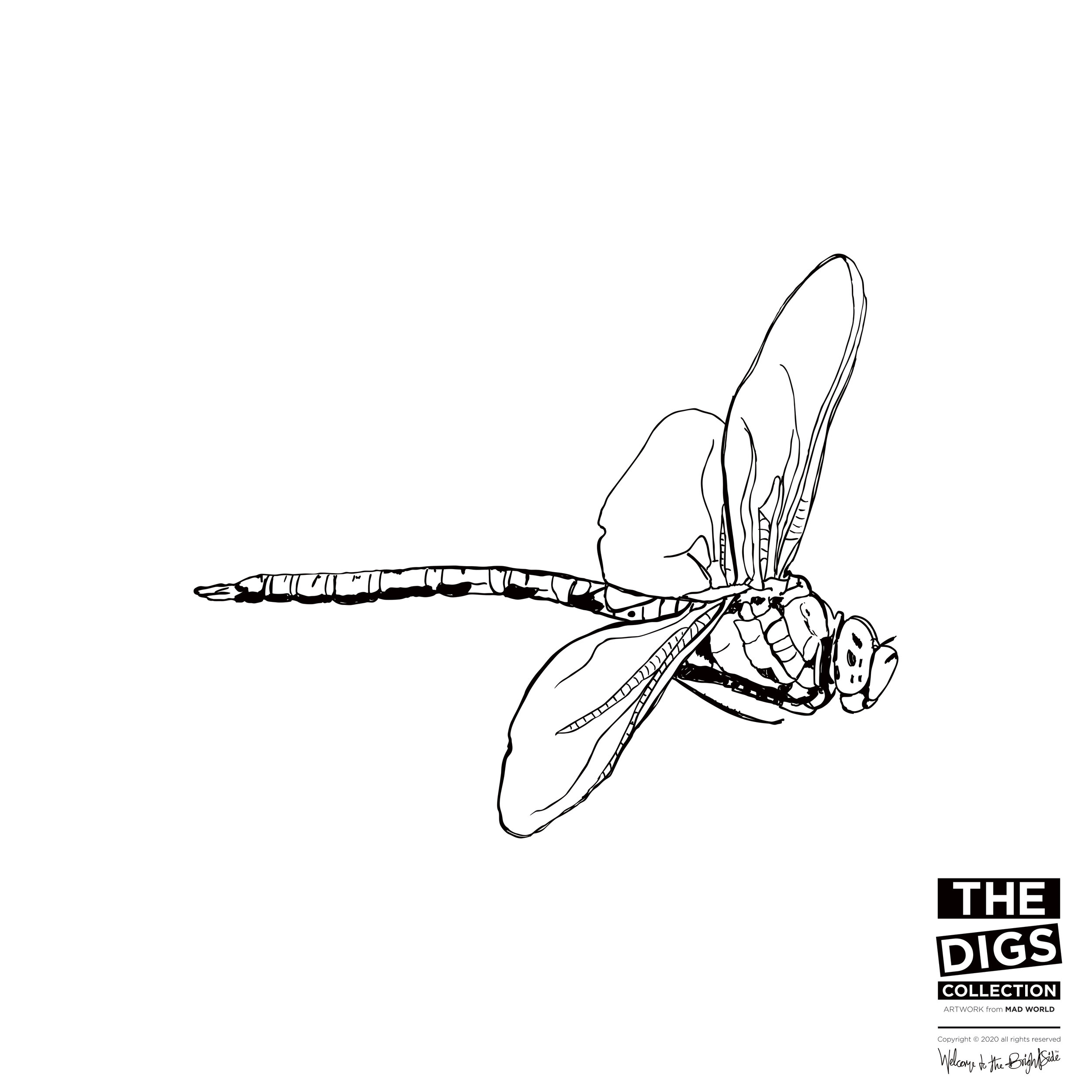 PARAVENT_1_DRAGONFLY_1_B+W.jpg
