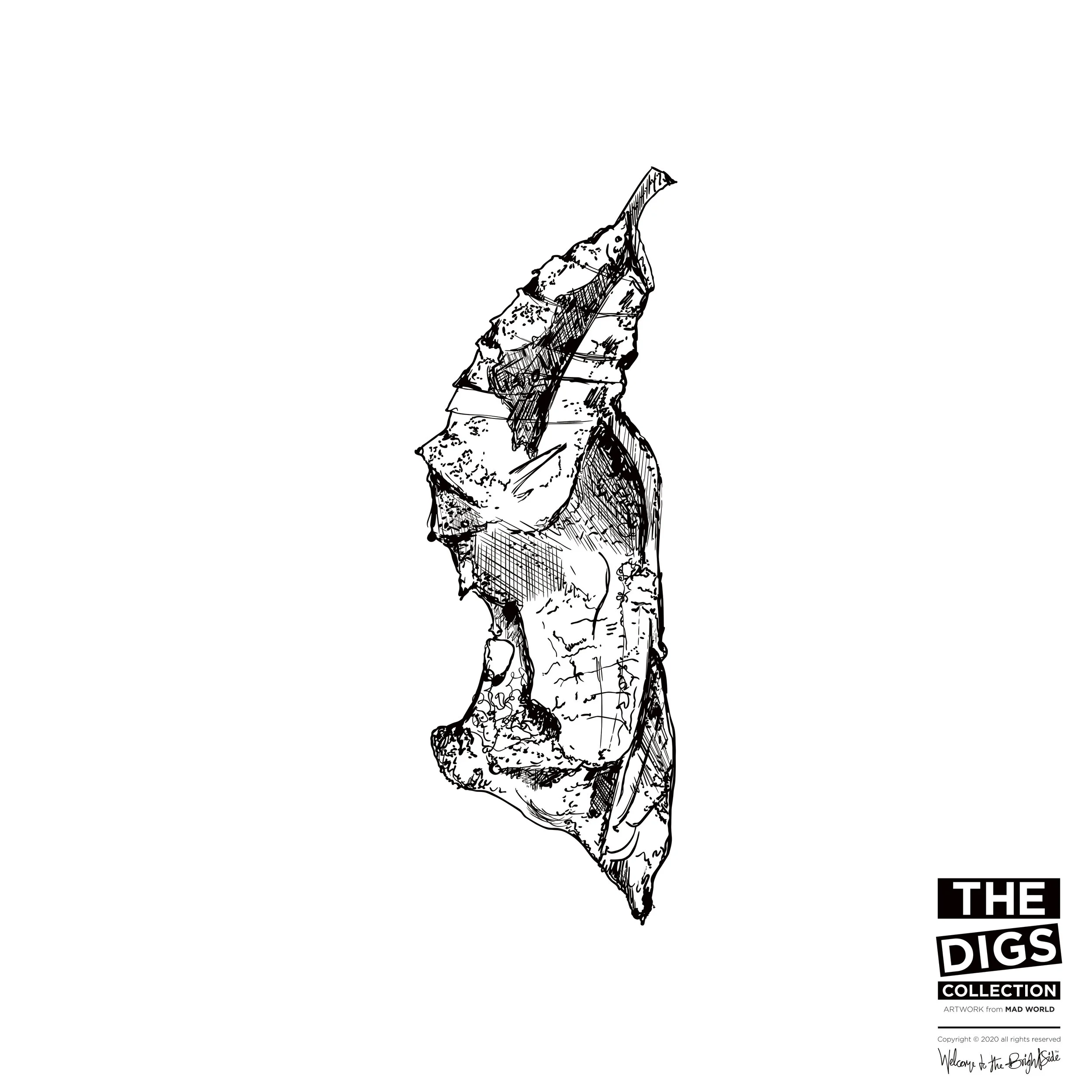 TDC_MW_CHRYSALIS_1_B+W.jpg