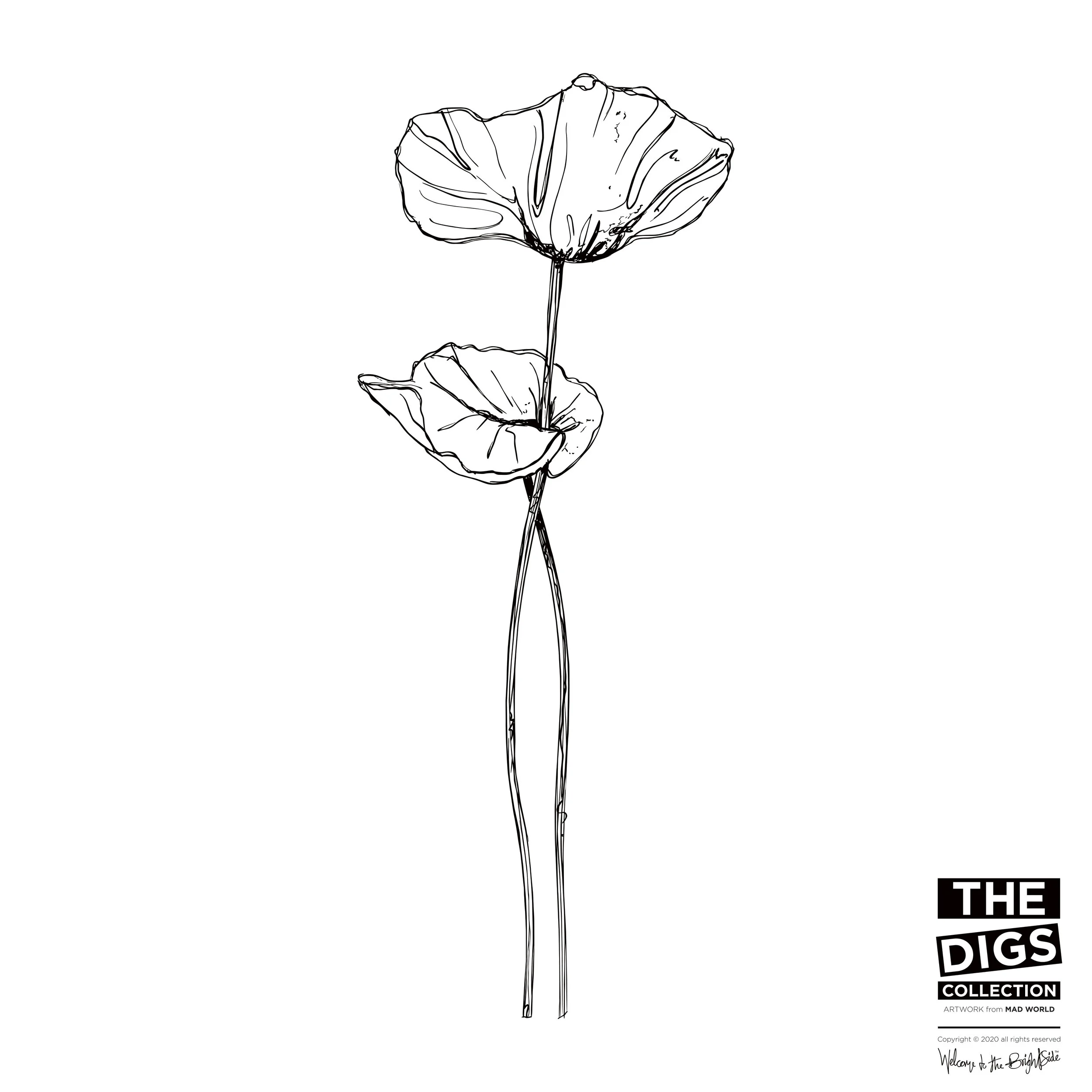 TDC_MW_POPPY_2_B+W.jpg