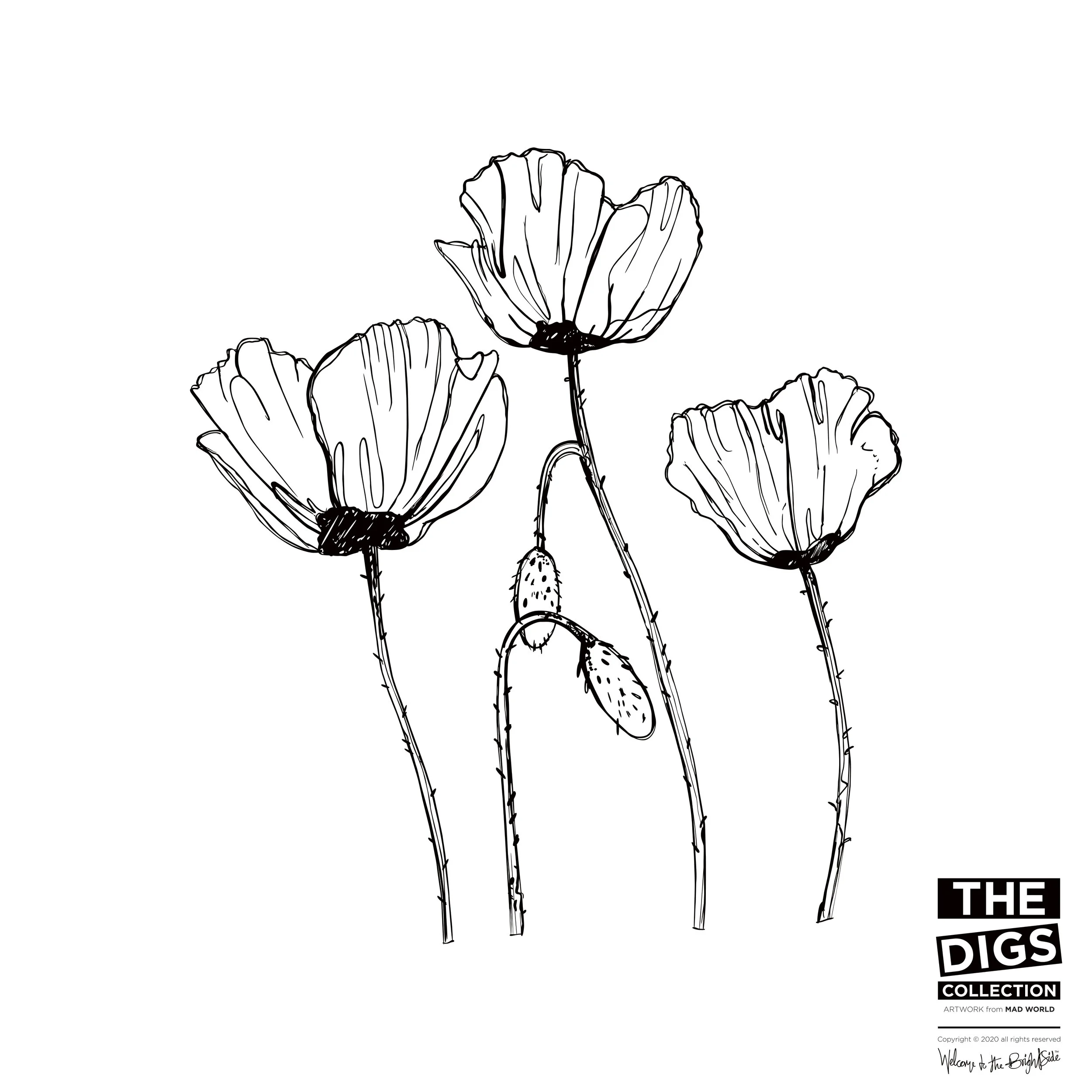 TDC_MW_POPPY_1_B+W.jpg