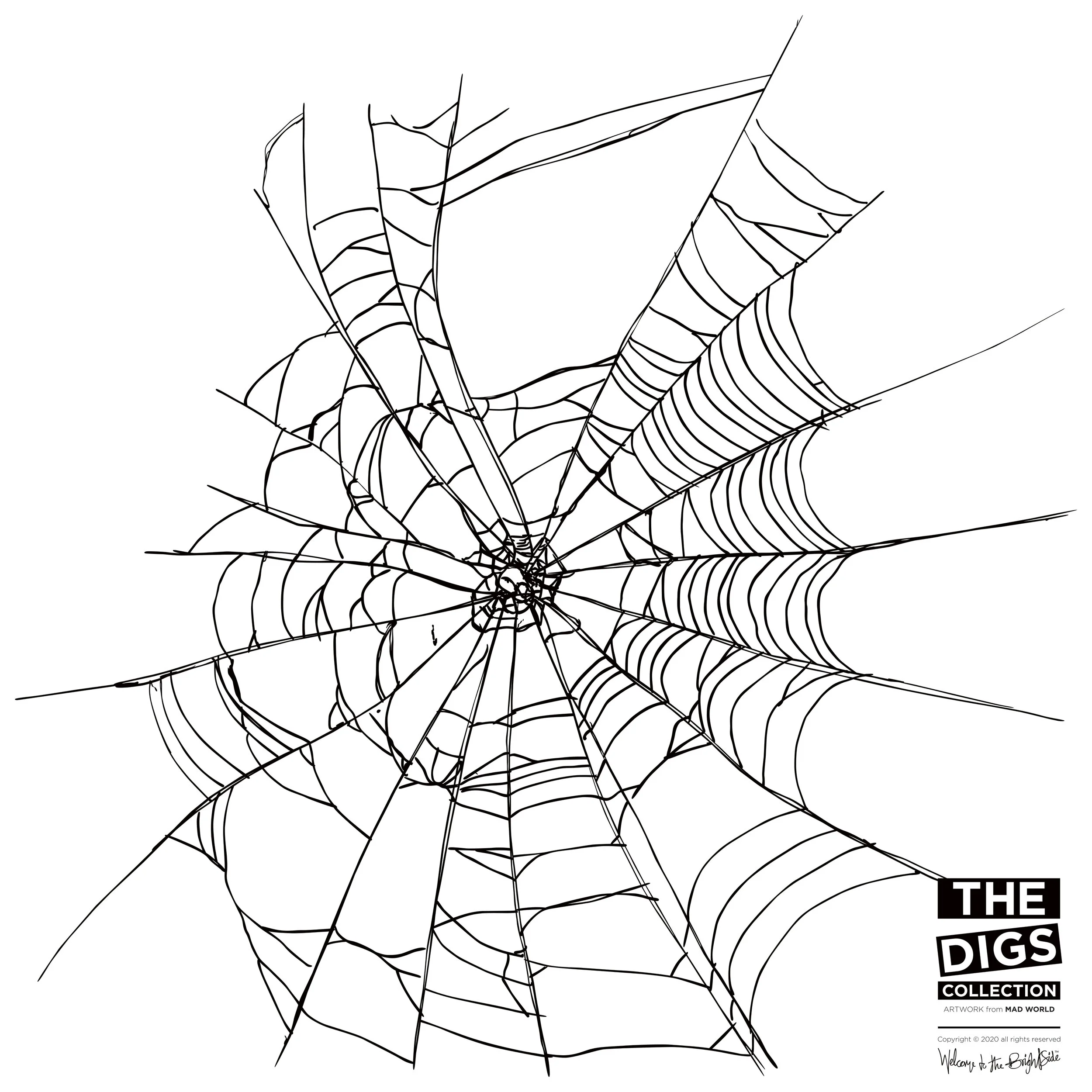 TDC_MW_SPIDERWEB_1_B+W.jpg