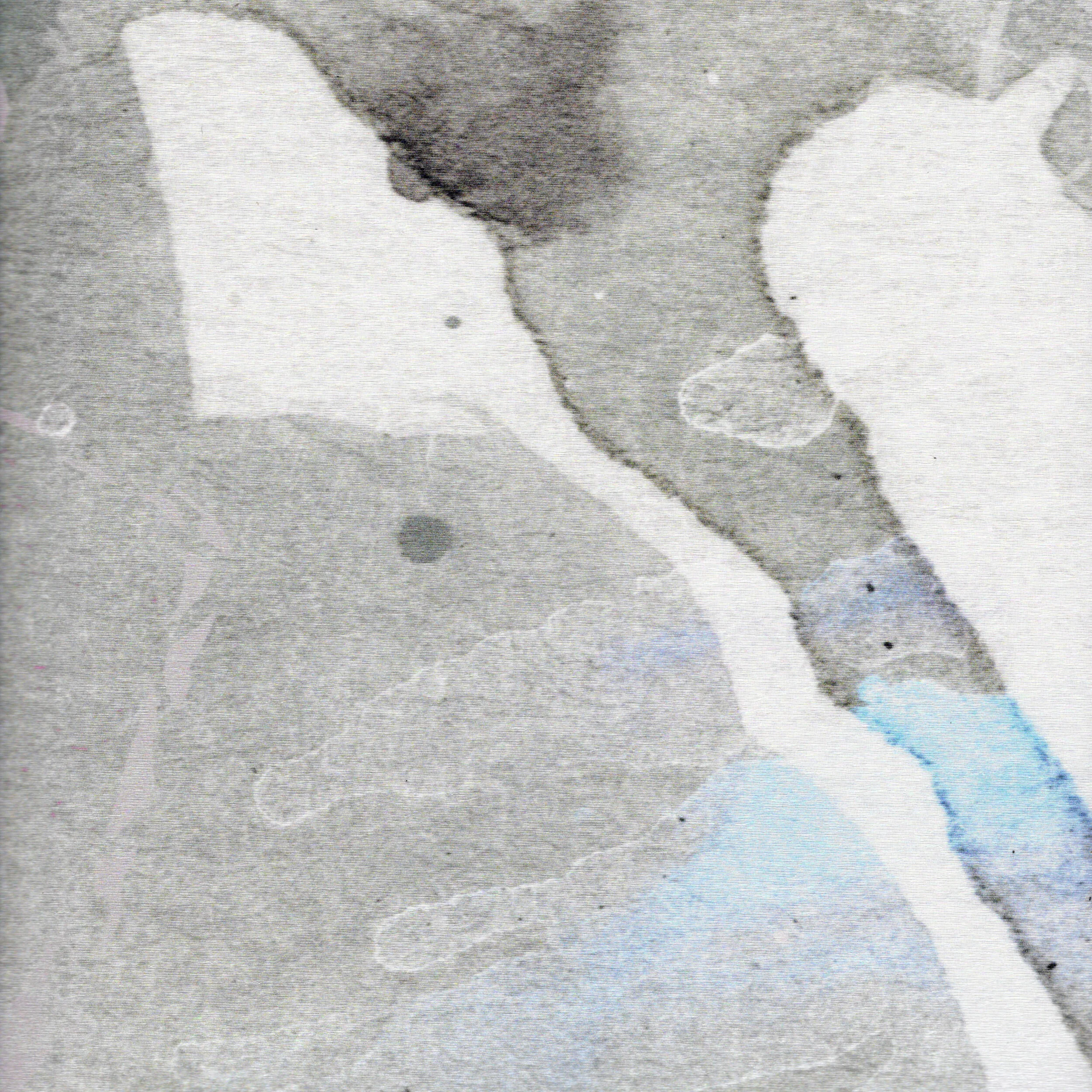 DIGS001_RISE UP_GREY_PALERMO_2.jpg
