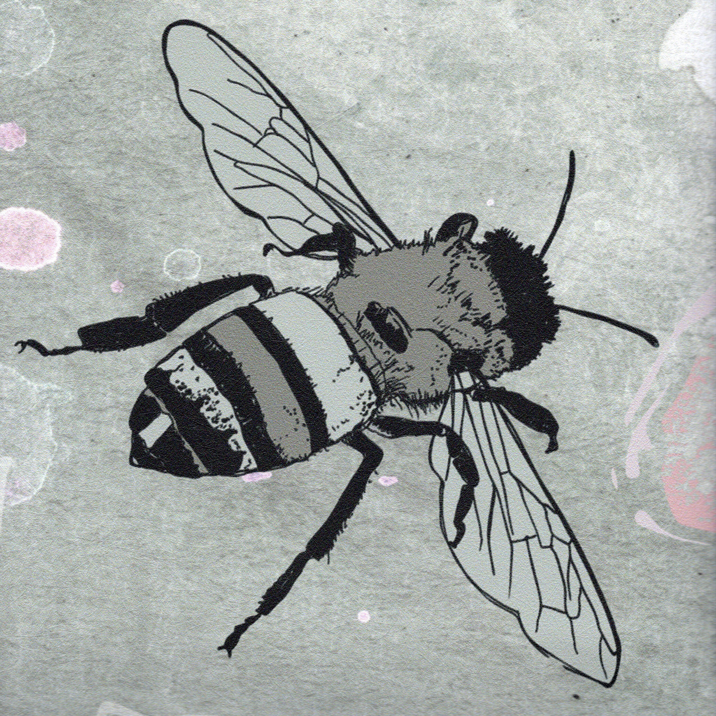 DIGS001_RISE UP_GREY_SPECTRE_4.jpg