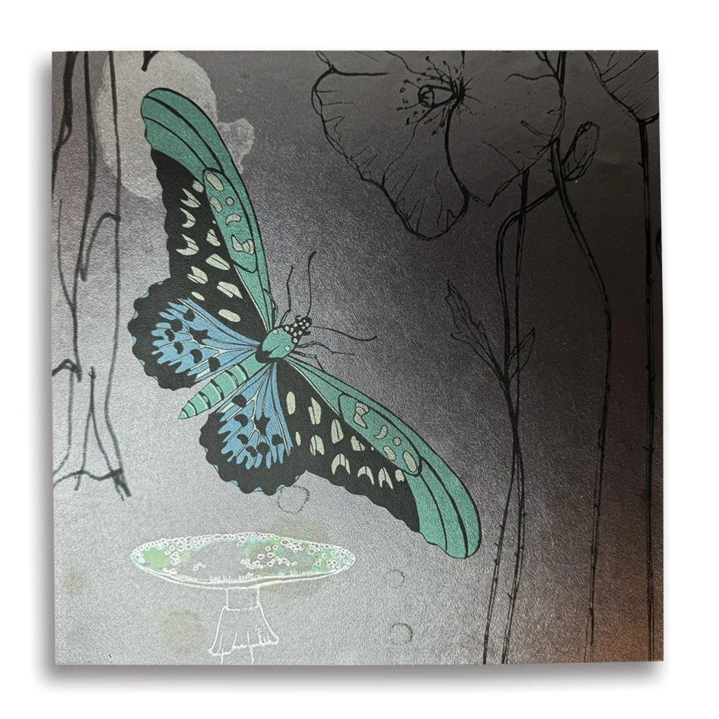 BUTTERFLY_1.jpg