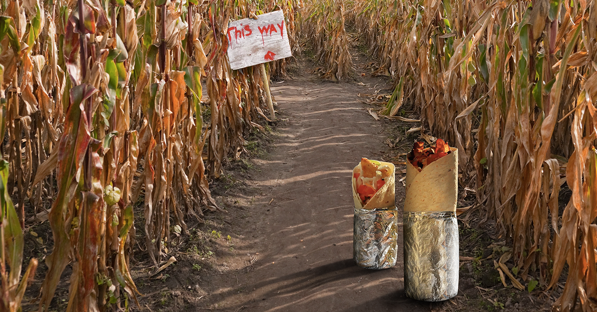 Corn-maze.png