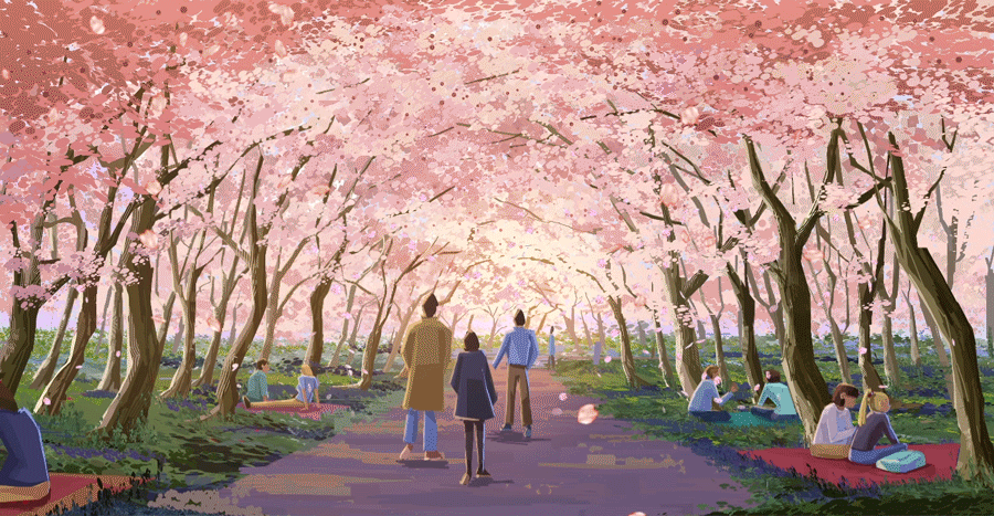 cherry-blossom-1.gif