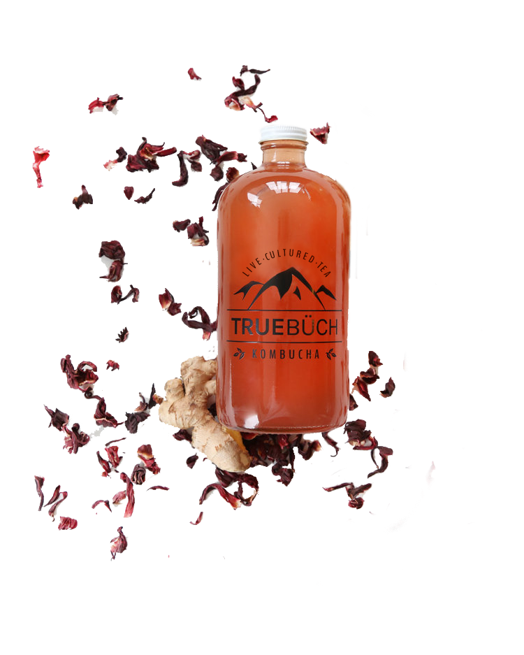 Hibiscus Ginger.png