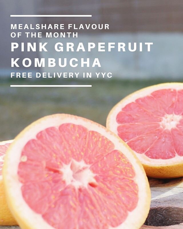 🦩 PINK GRAPEFRUIT KOMBUCHA 🦩 - Available for Online Ordering 😋 Our @Mealshare flavour of the month is on sale in our online shop! Every purchase helps us find sustainable solutions to youth hunger, aka a win-win! Visit the link in our bio 👀👀 #Bu