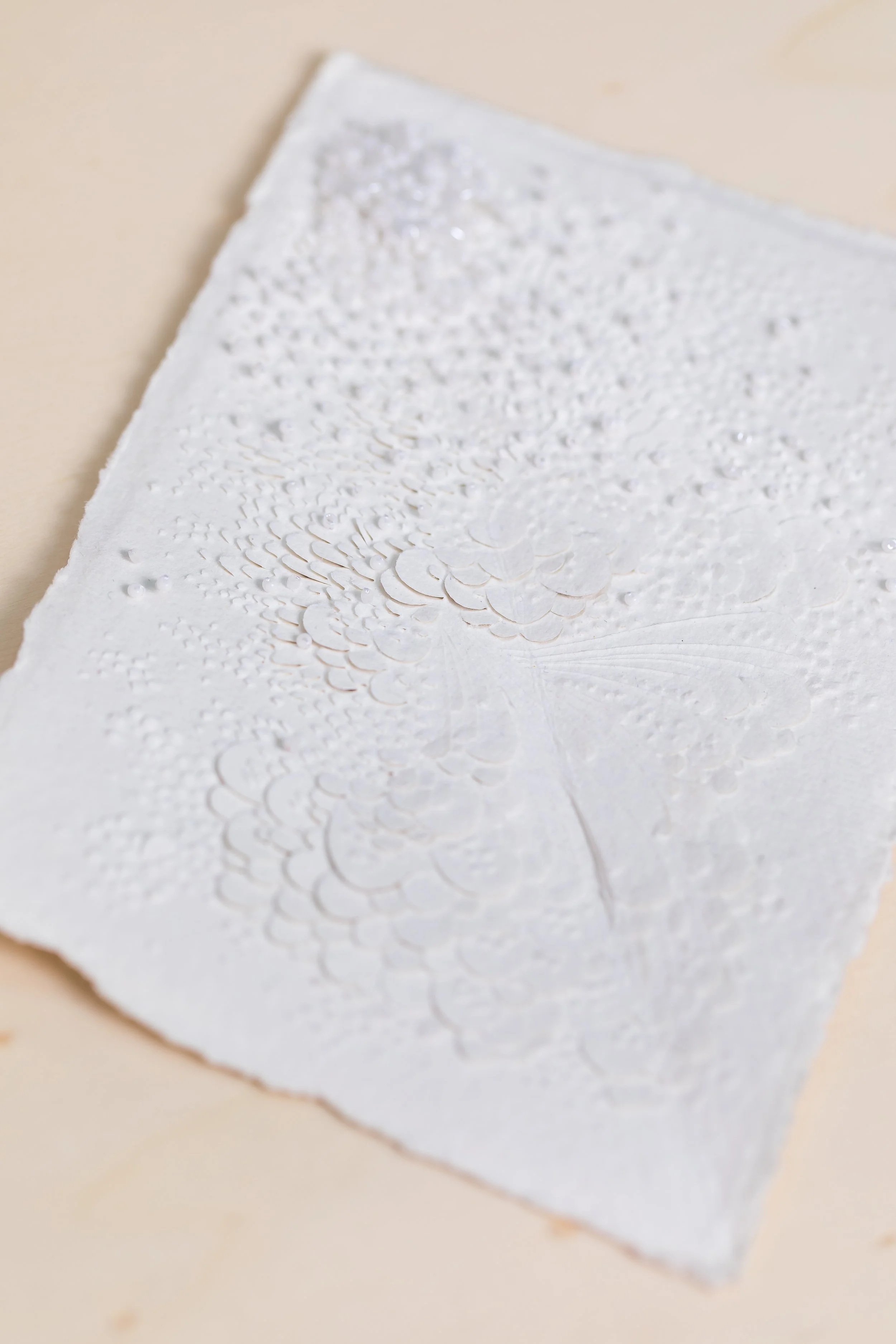 Lauren Collin Oct2020_642.jpg